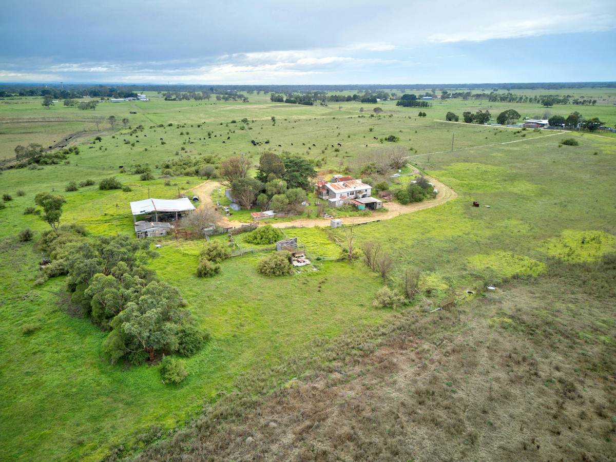 74 Bristows Lane, Pearsondale For Sale by Farmbuy.com - image 5