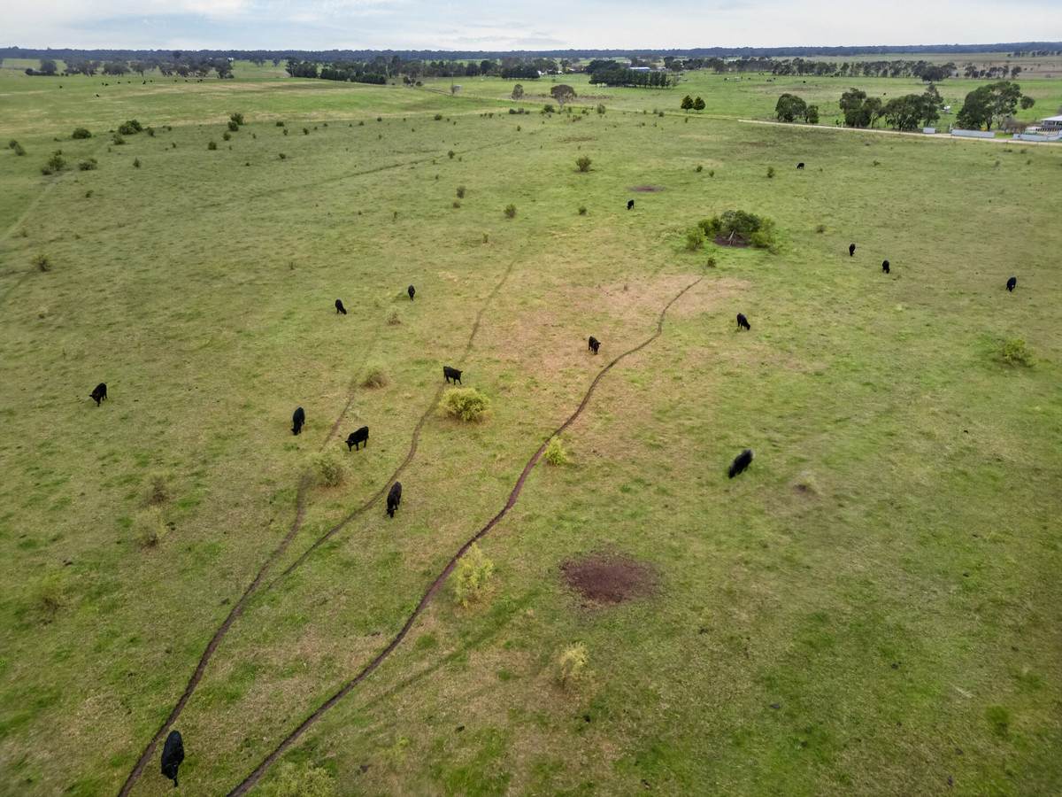 74 Bristows Lane, Pearsondale For Sale by Farmbuy.com - image 10