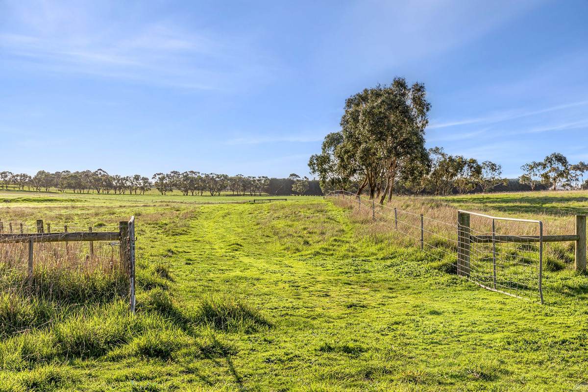 1000 Hendy Main Road, Moriac For Sale by Farmbuy.com - image 7