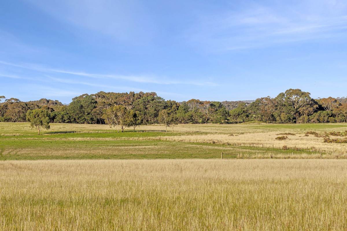 1000 Hendy Main Road, Moriac For Sale by Farmbuy.com - image 6