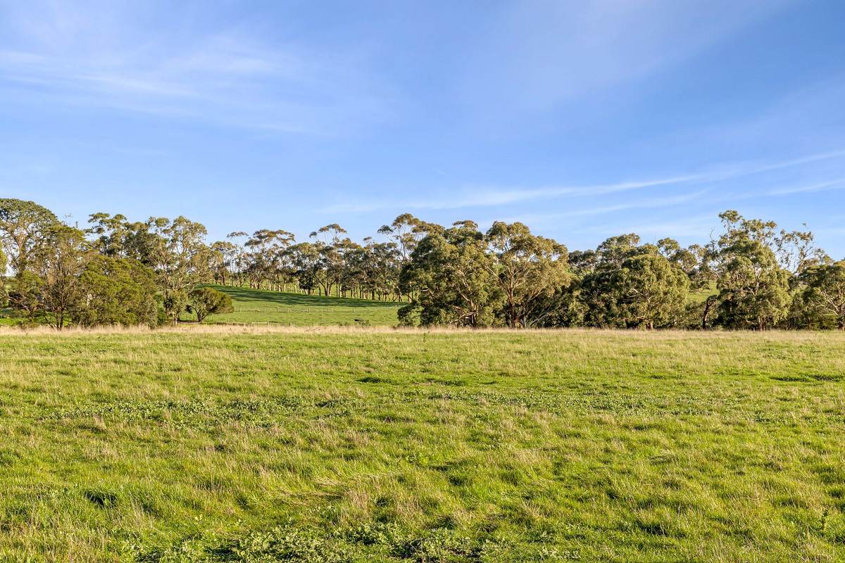 1000 Hendy Main Road, Moriac For Sale by Farmbuy.com - image 2