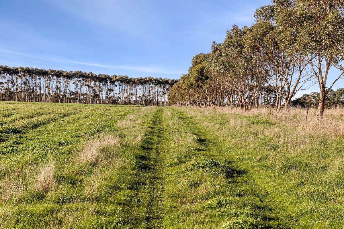 1000 Hendy Main Road, Moriac For Sale by Farmbuy.com - image 5