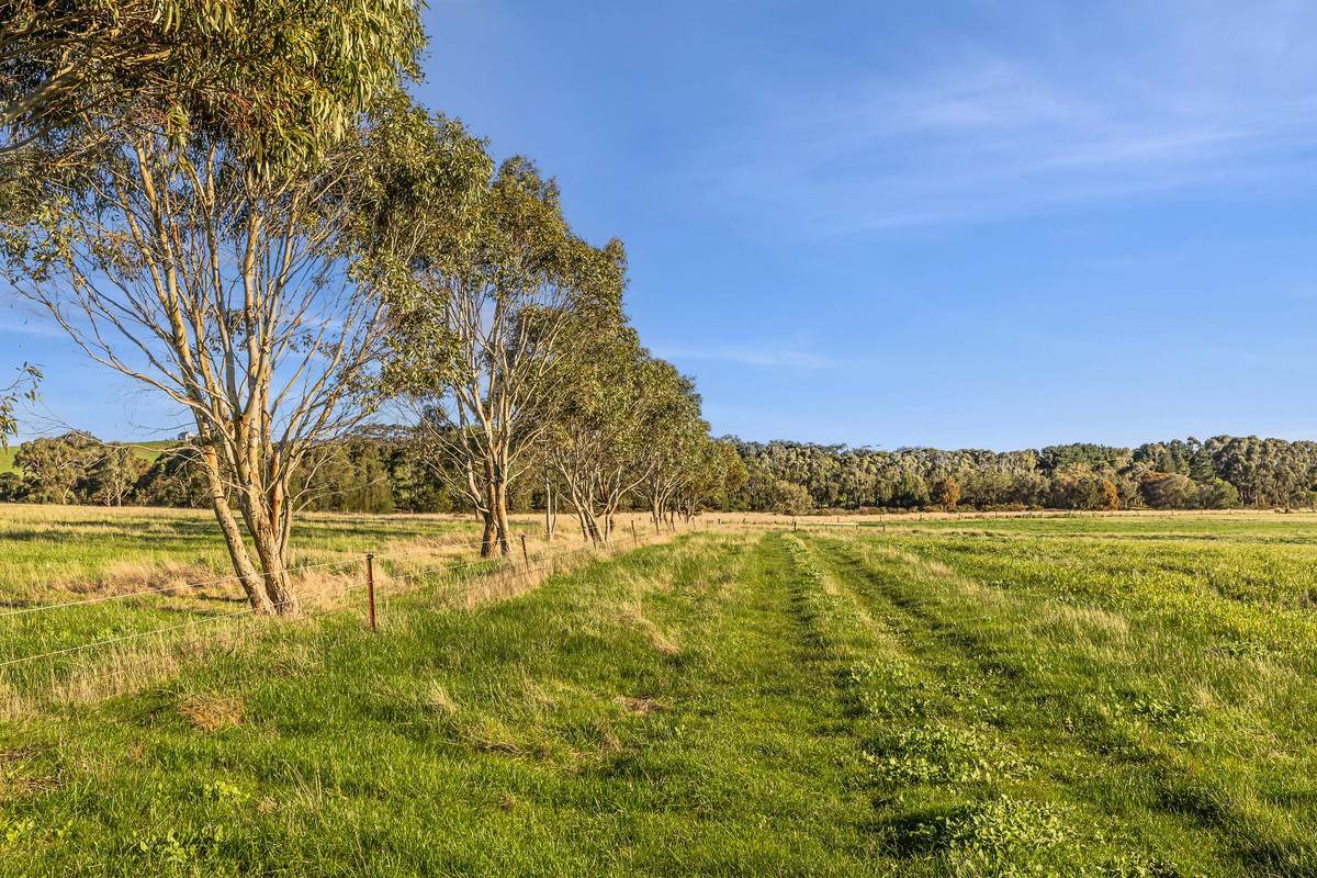 1000 Hendy Main Road, Moriac For Sale by Farmbuy.com - image 10