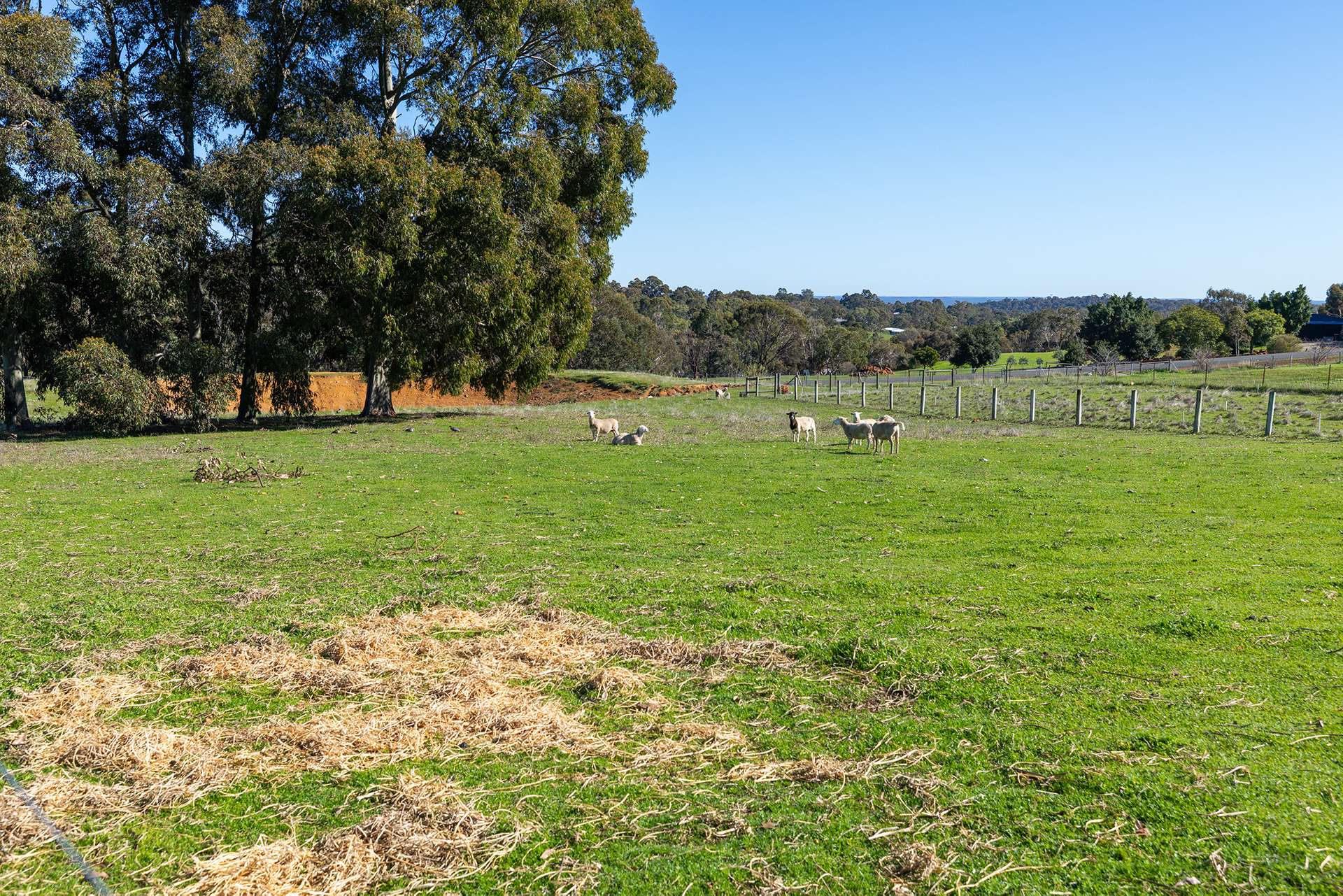 206 Alawoona Circle, Bullsbrook For Sale by Farmbuy.com - image 16
