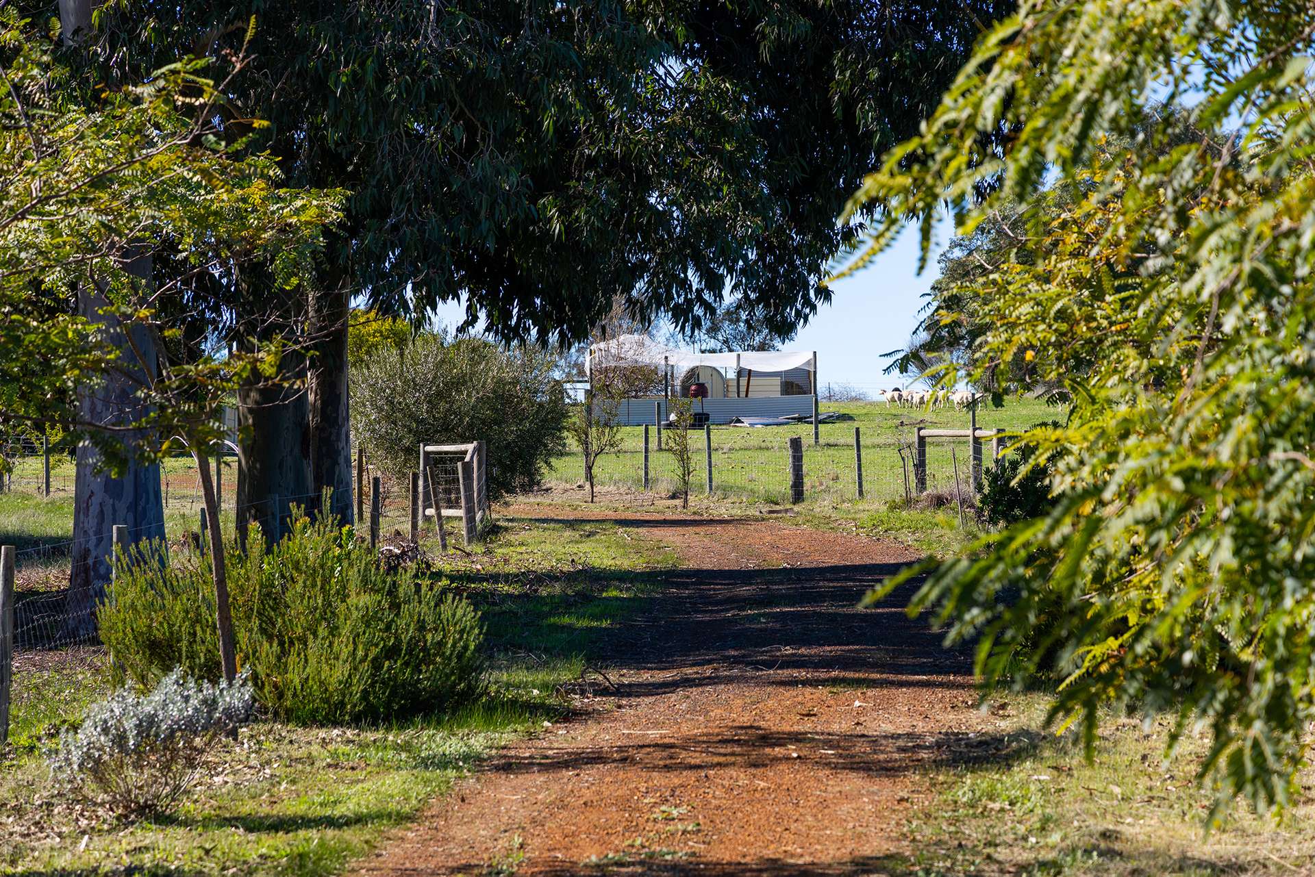 206 Alawoona Circle, Bullsbrook For Sale by Farmbuy.com - image 4