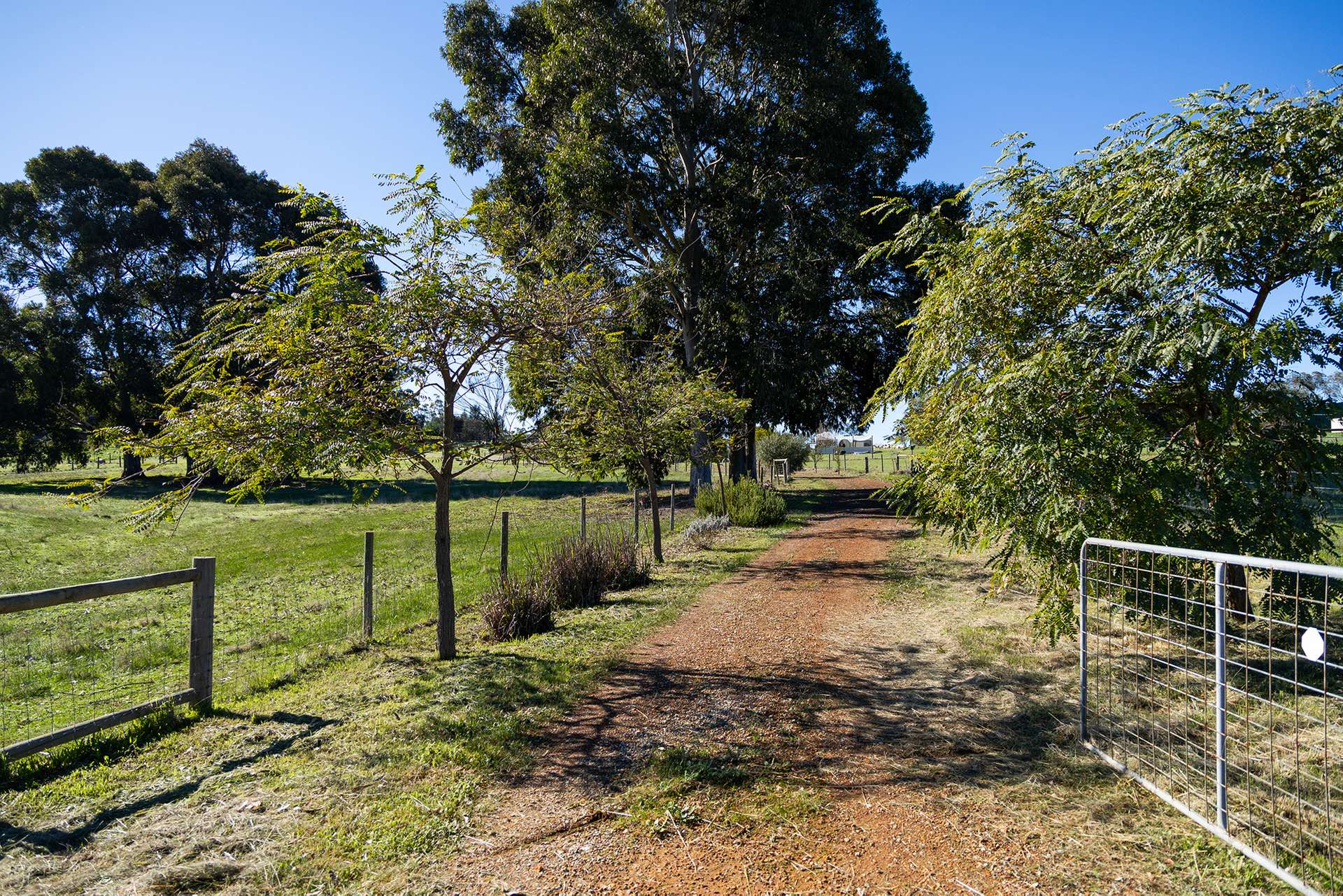 206 Alawoona Circle, Bullsbrook For Sale by Farmbuy.com - image 5
