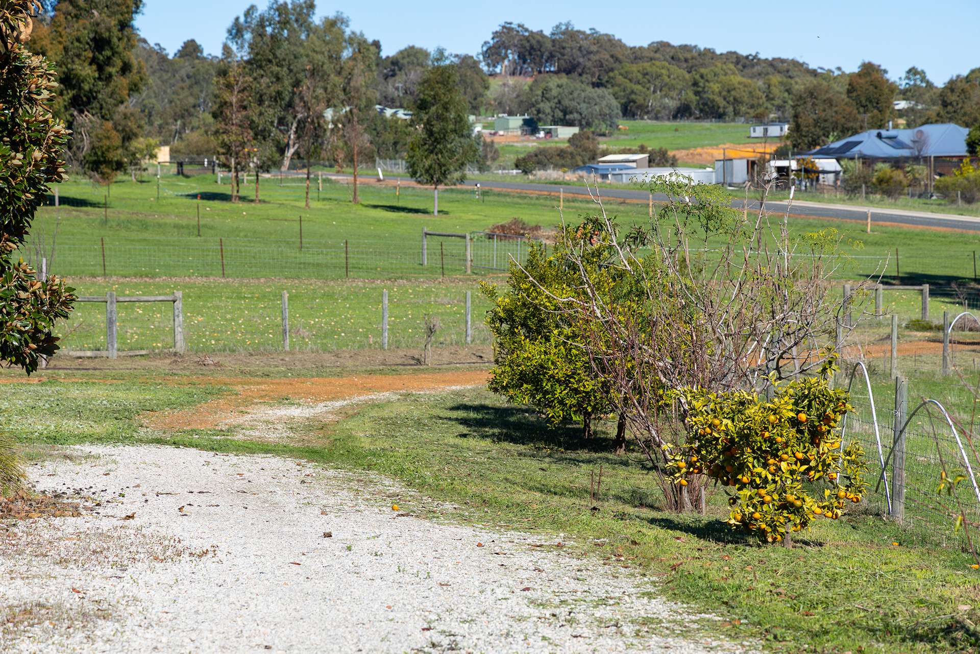 206 Alawoona Circle, Bullsbrook For Sale by Farmbuy.com - image 6