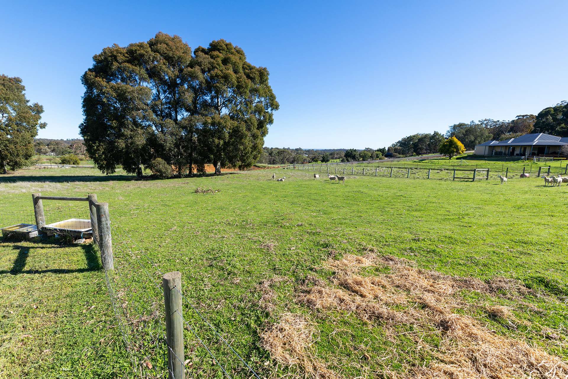 206 Alawoona Circle, Bullsbrook For Sale by Farmbuy.com - image 19