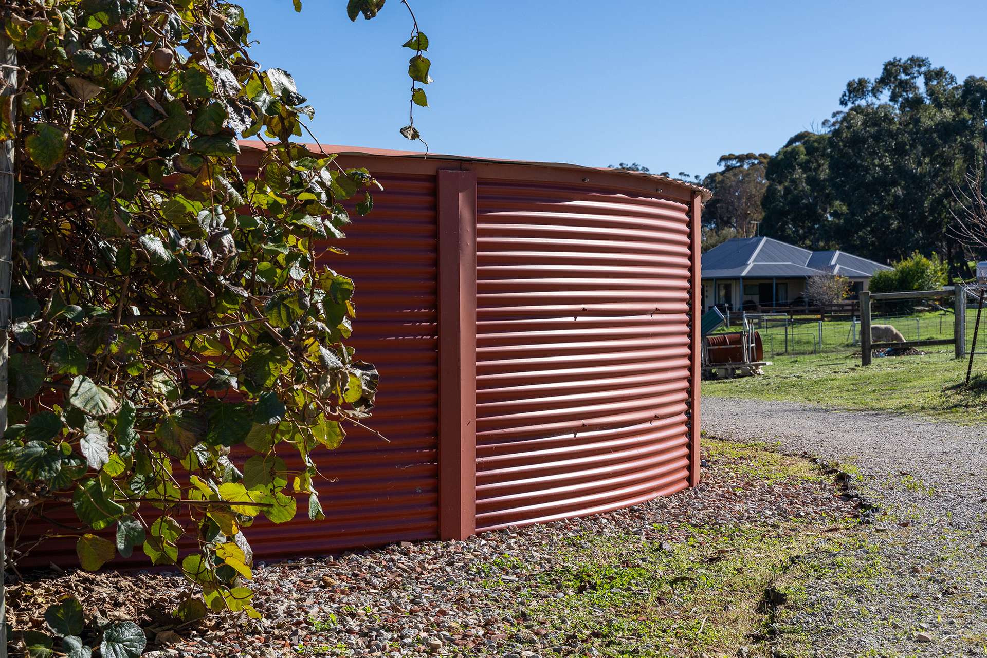206 Alawoona Circle, Bullsbrook For Sale by Farmbuy.com - image 11