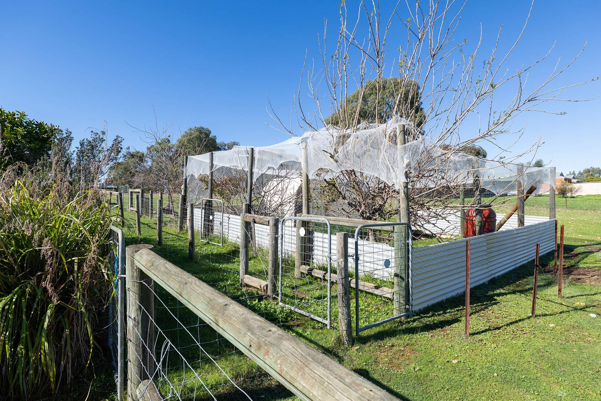 206 Alawoona Circle, Bullsbrook For Sale by Farmbuy.com - image 26