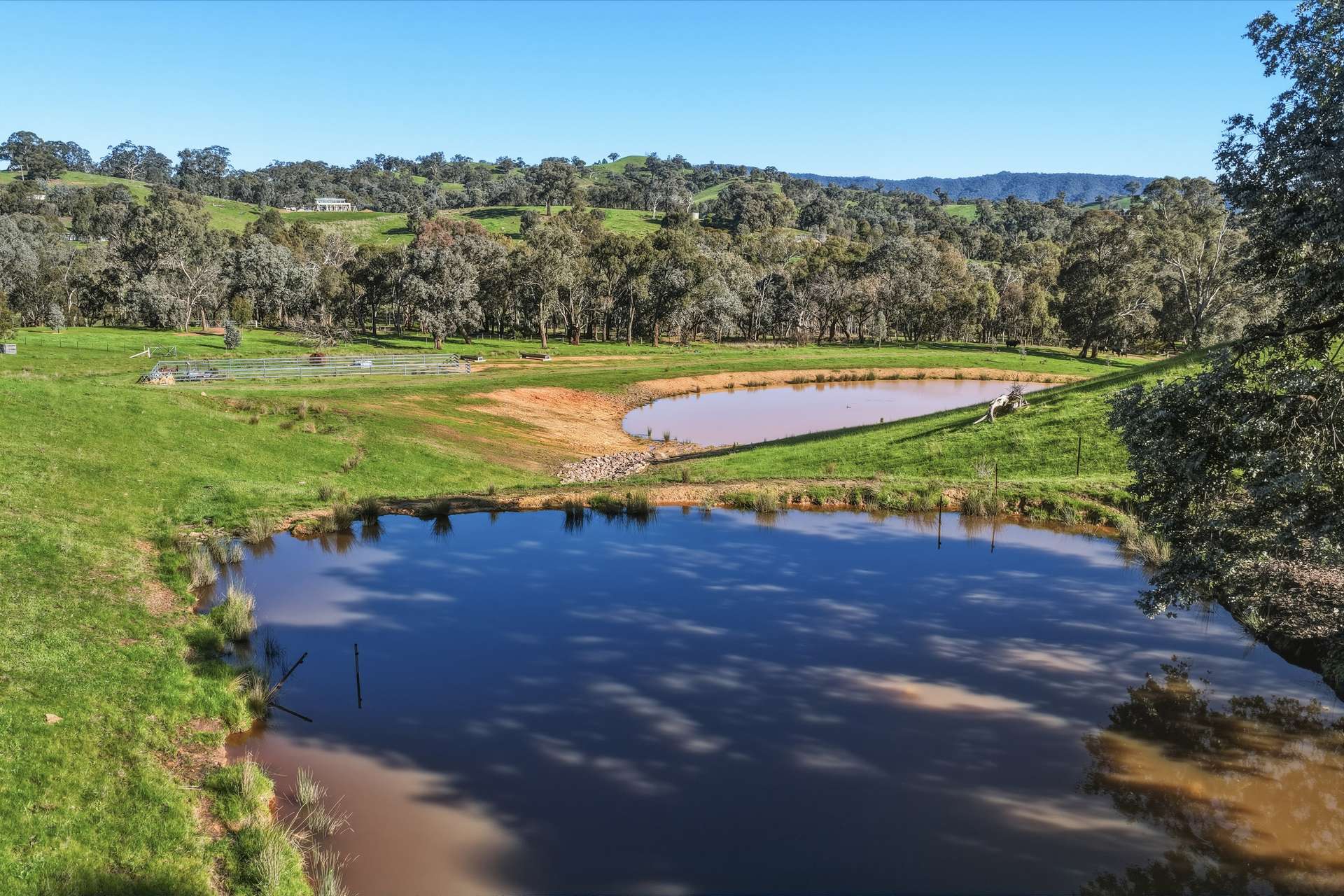 1209 Howes Creek Road, Mansfield For Sale by Farmbuy.com - image 13