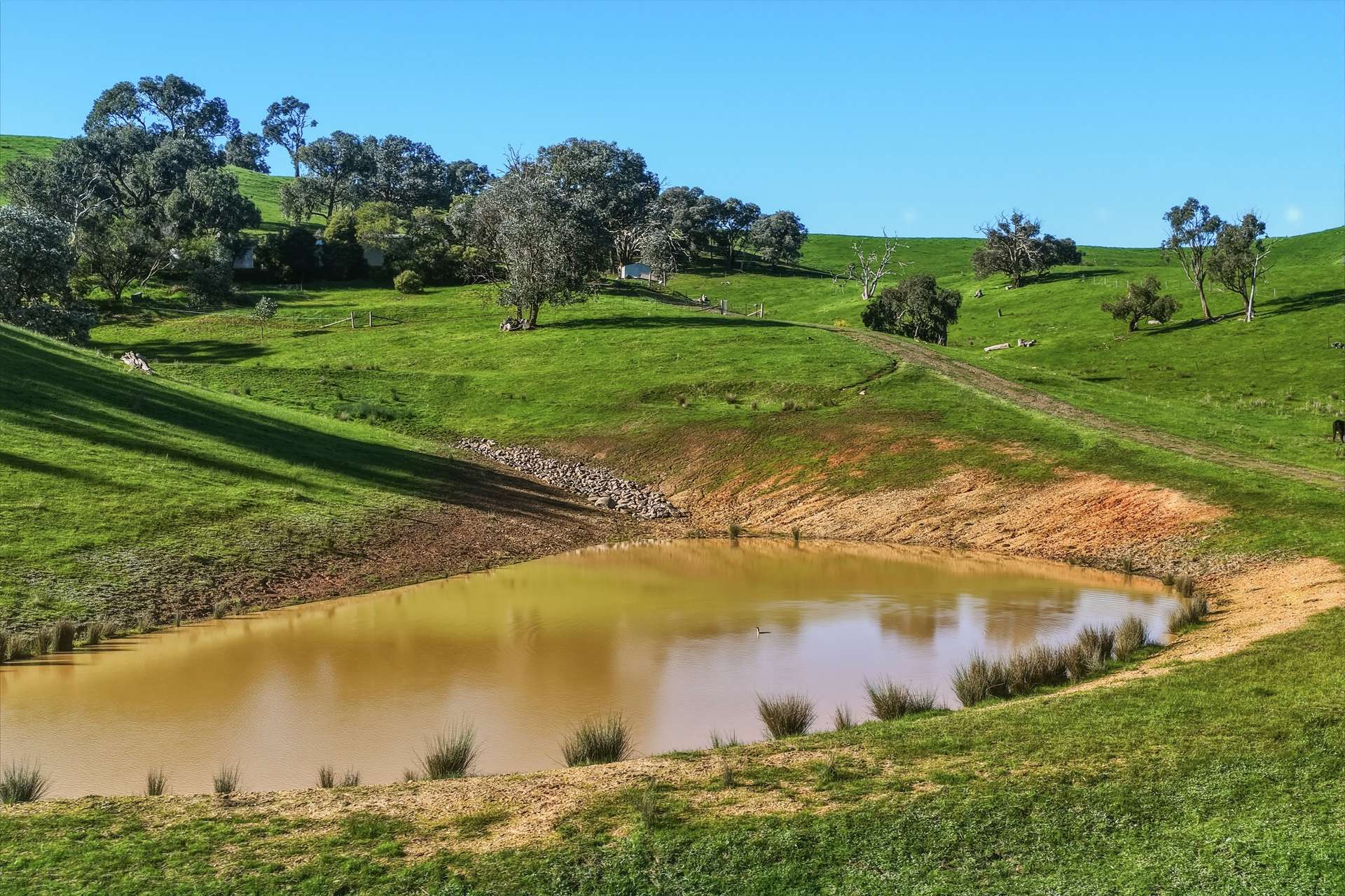 1209 Howes Creek Road, Mansfield For Sale by Farmbuy.com - image 2