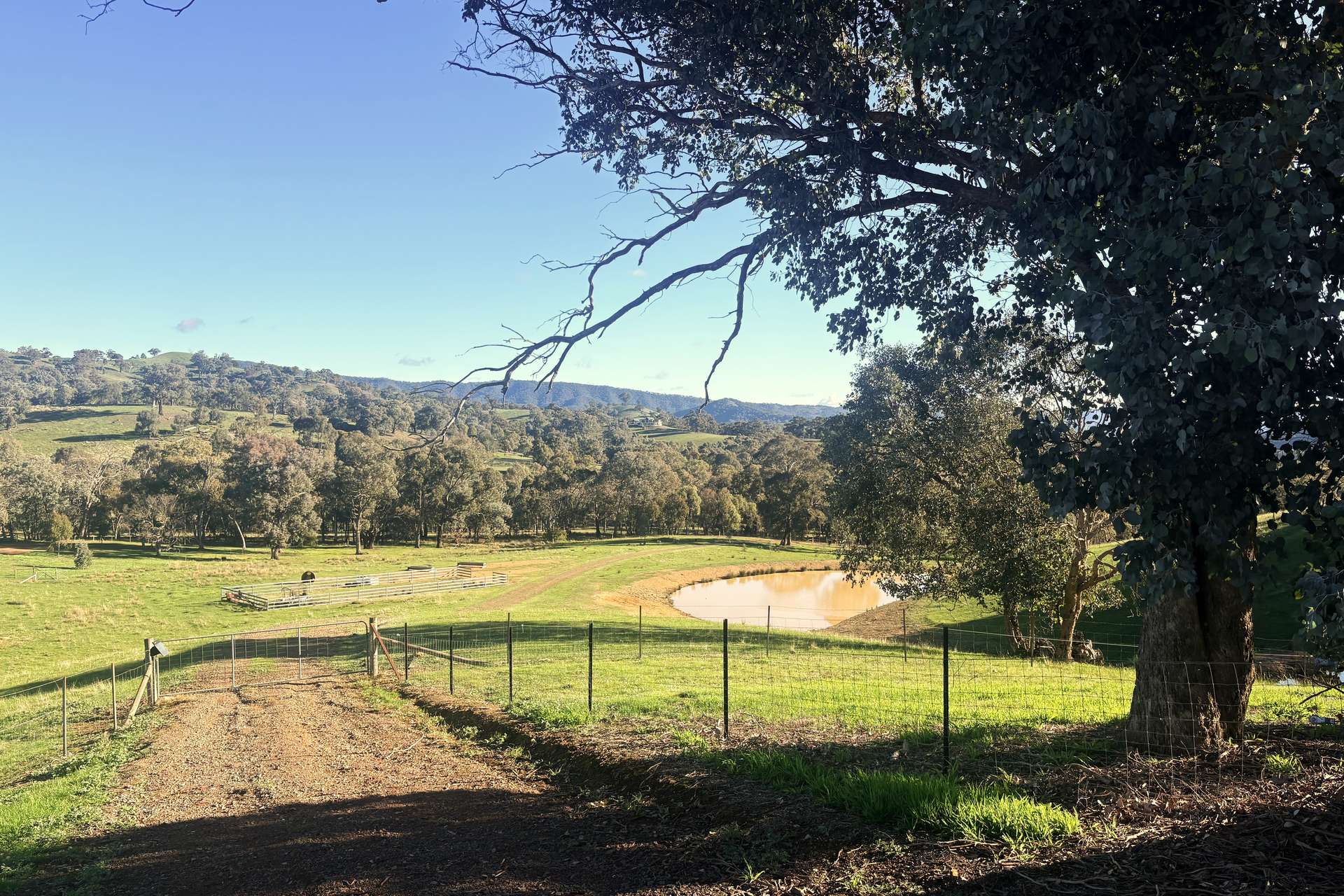 1209 Howes Creek Road, Mansfield For Sale by Farmbuy.com - image 12