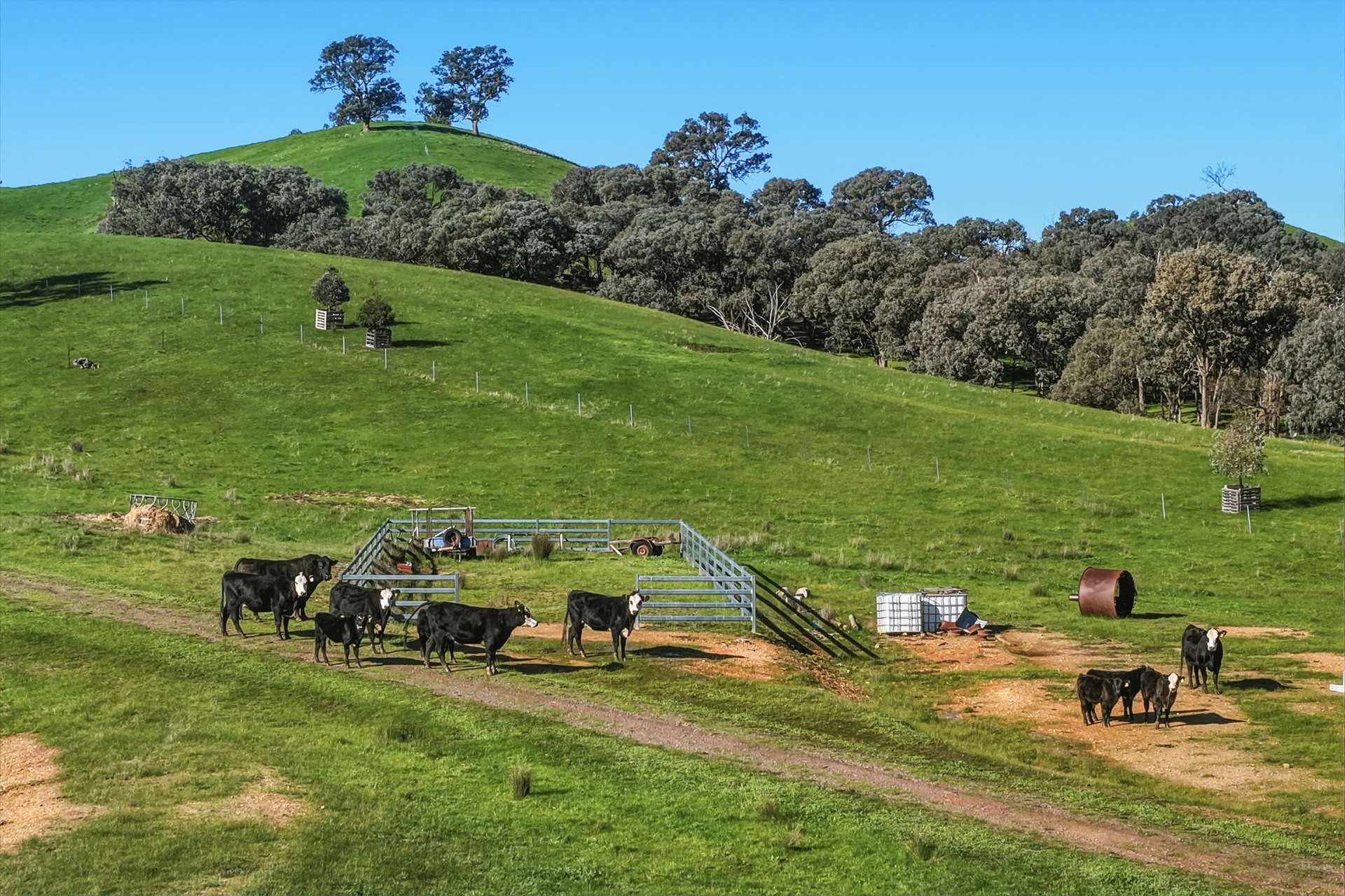 1209 Howes Creek Road, Mansfield For Sale by Farmbuy.com - image 6