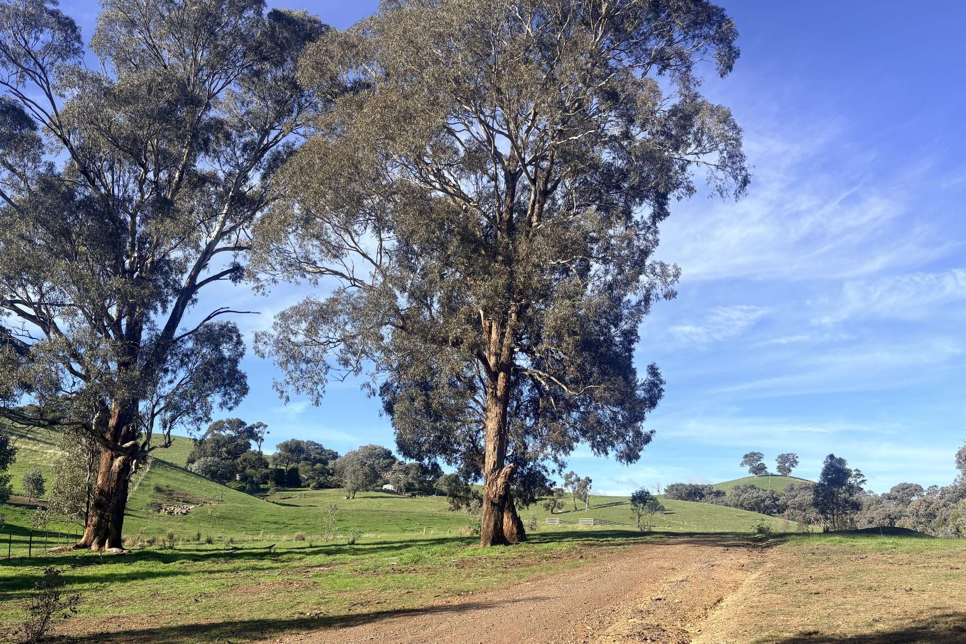 1209 Howes Creek Road, Mansfield For Sale by Farmbuy.com - image 11