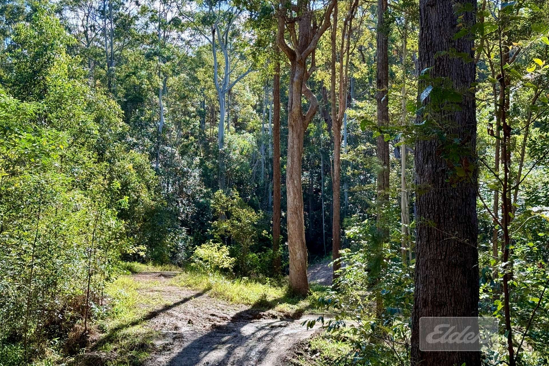64 Hogan Road, Downsfield For Sale by Farmbuy.com - image 6