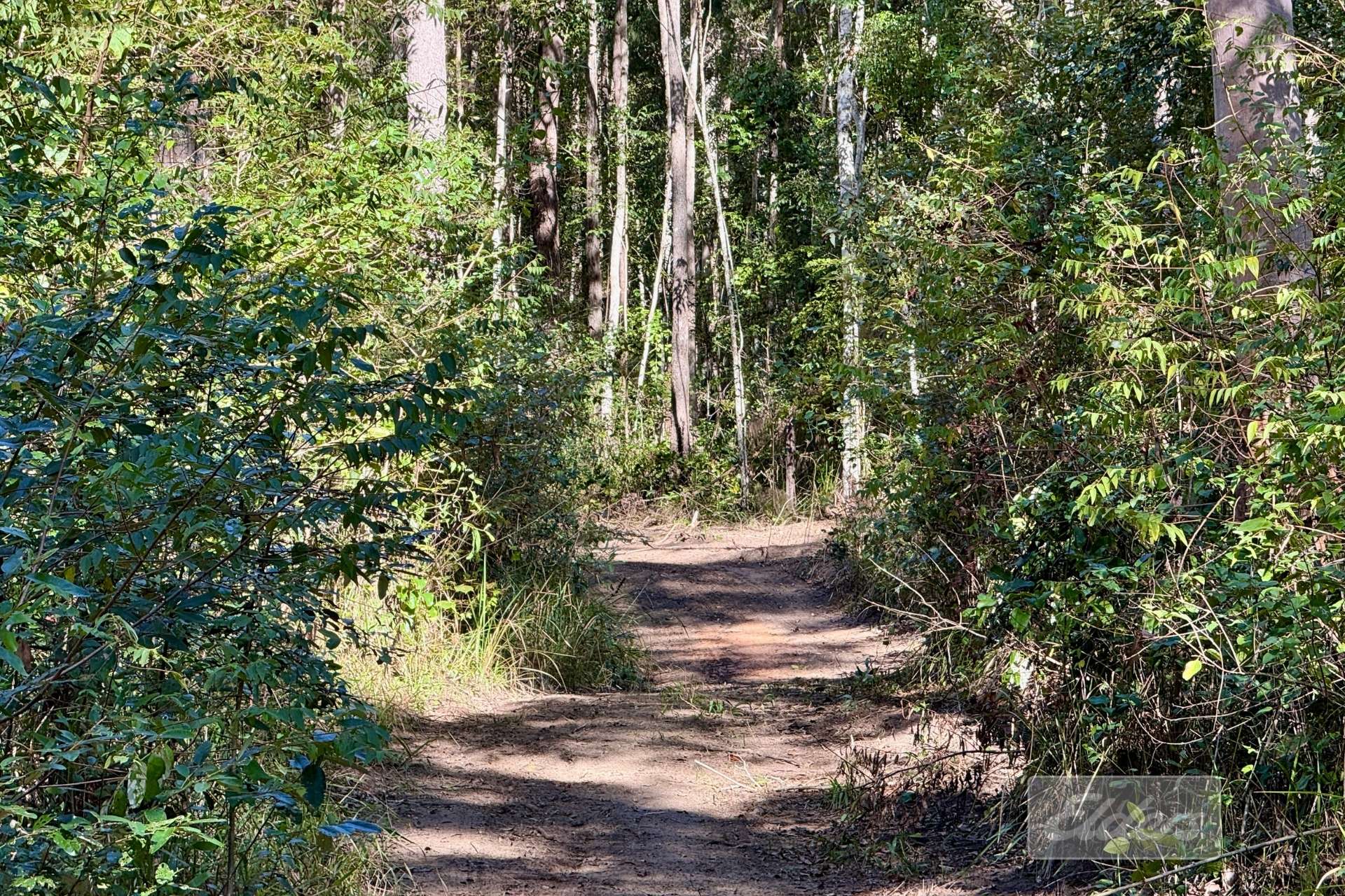 64 Hogan Road, Downsfield For Sale by Farmbuy.com - image 8