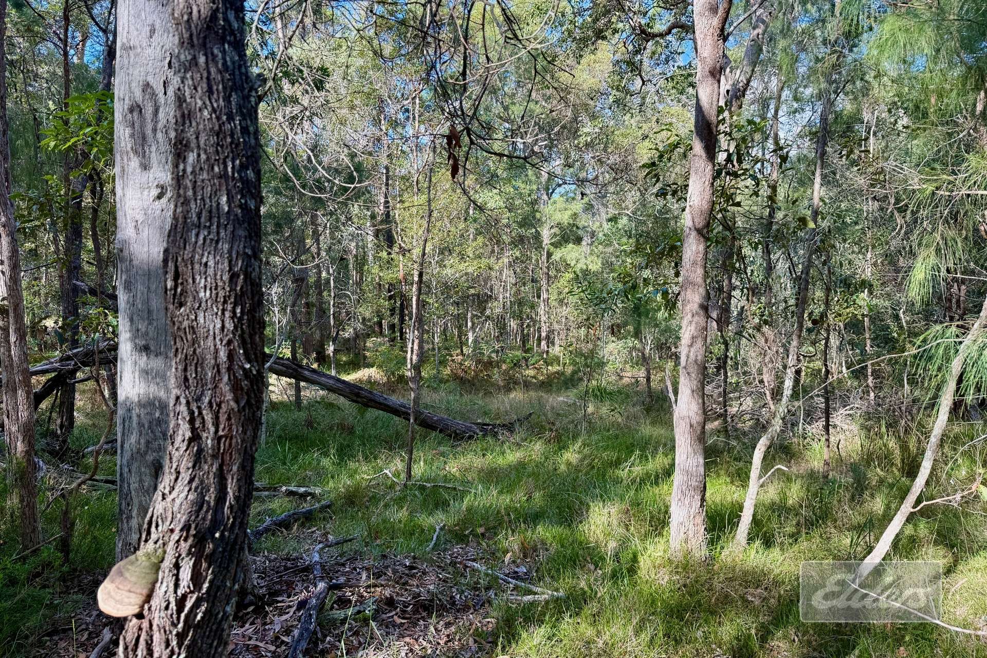 64 Hogan Road, Downsfield For Sale by Farmbuy.com - image 12