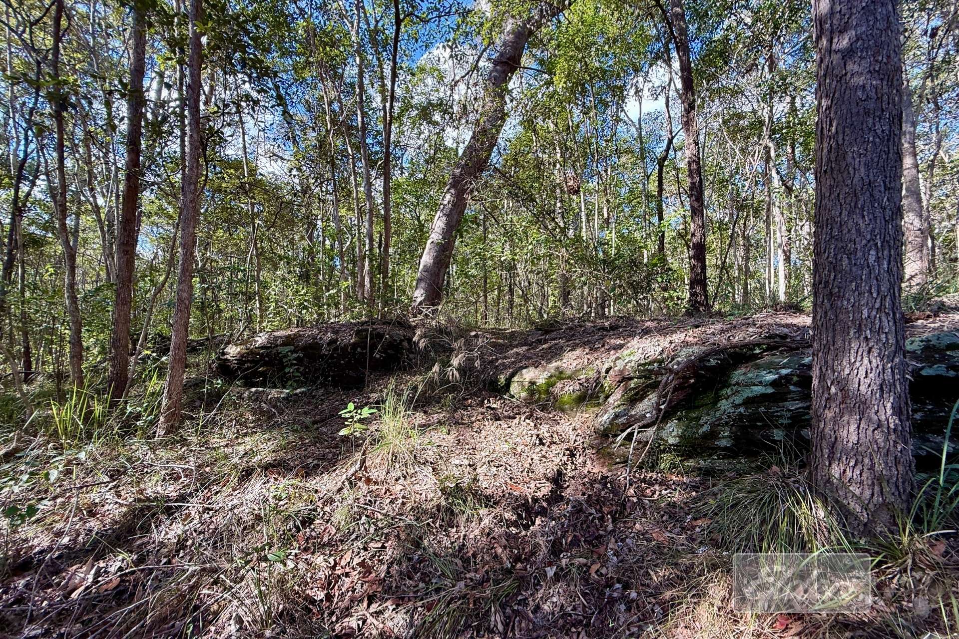 64 Hogan Road, Downsfield For Sale by Farmbuy.com - image 14