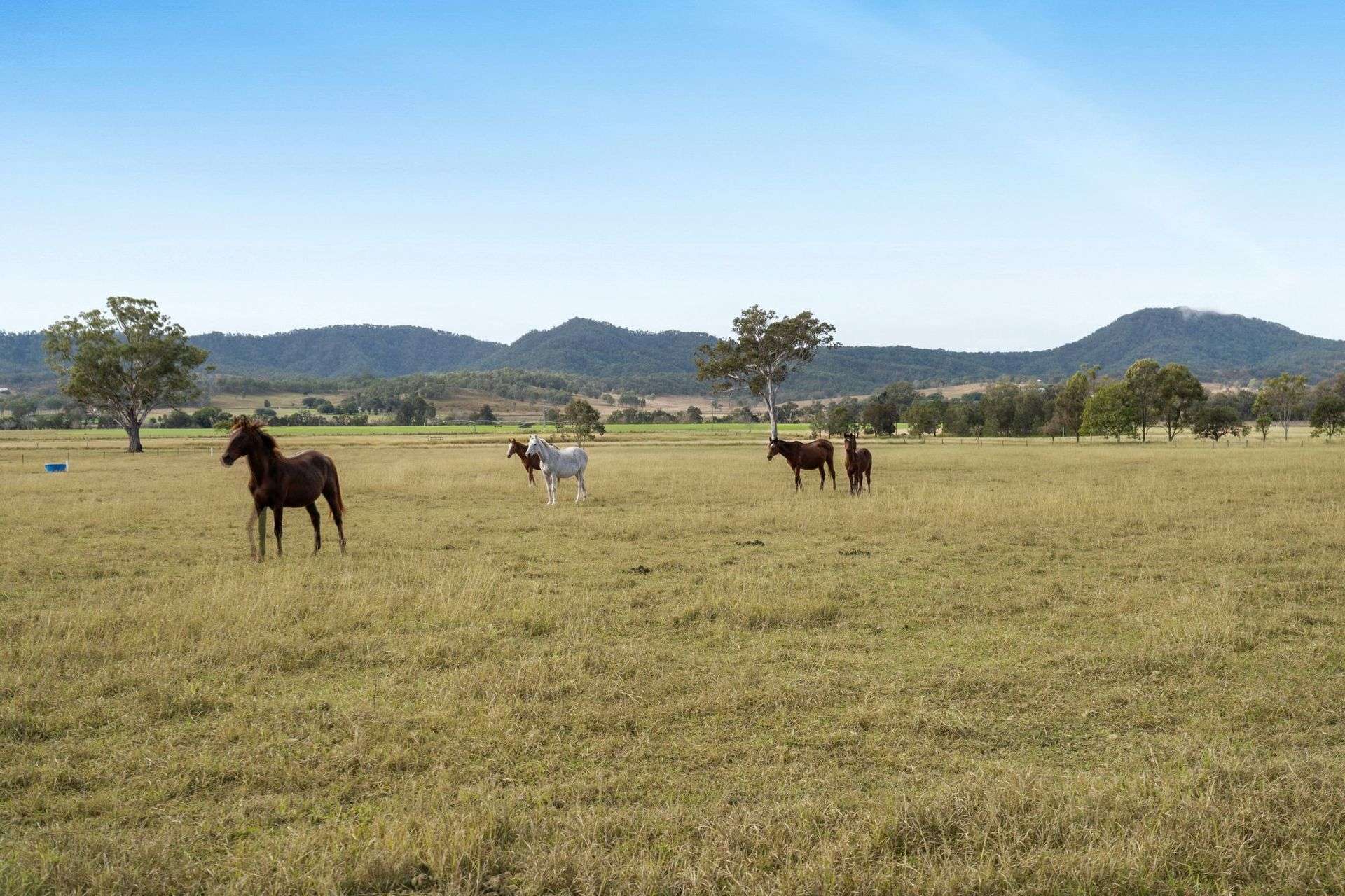 190 Tramway Road, Tabooba For Sale by Farmbuy.com - image 32