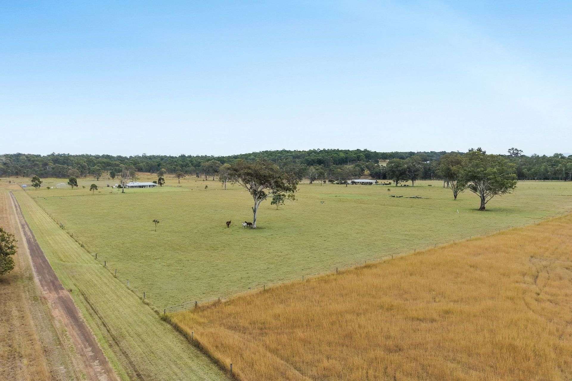 190 Tramway Road, Tabooba For Sale by Farmbuy.com - image 5