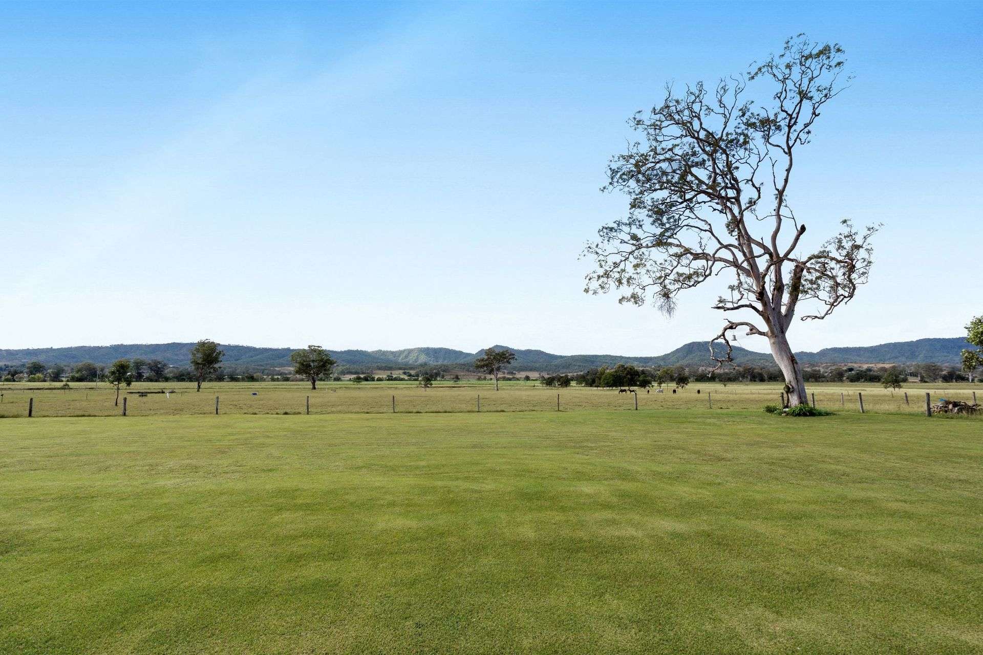 190 Tramway Road, Tabooba For Sale by Farmbuy.com - image 4