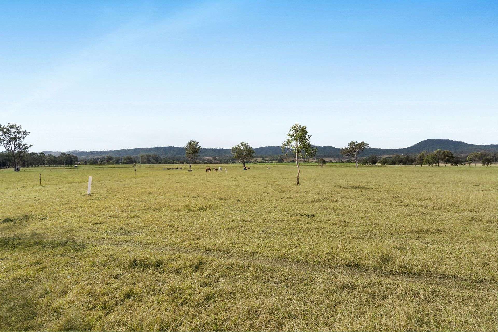190 Tramway Road, Tabooba For Sale by Farmbuy.com - image 33