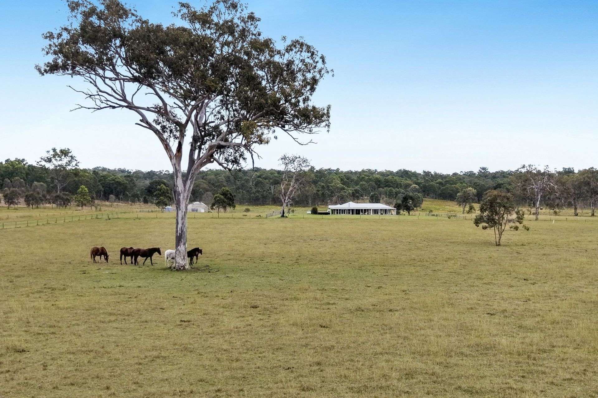190 Tramway Road, Tabooba For Sale by Farmbuy.com - image 35