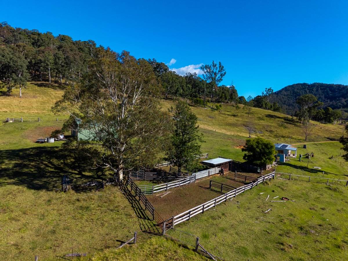 177 Little Careys Trail, Candelo For Sale by Farmbuy.com - image 9