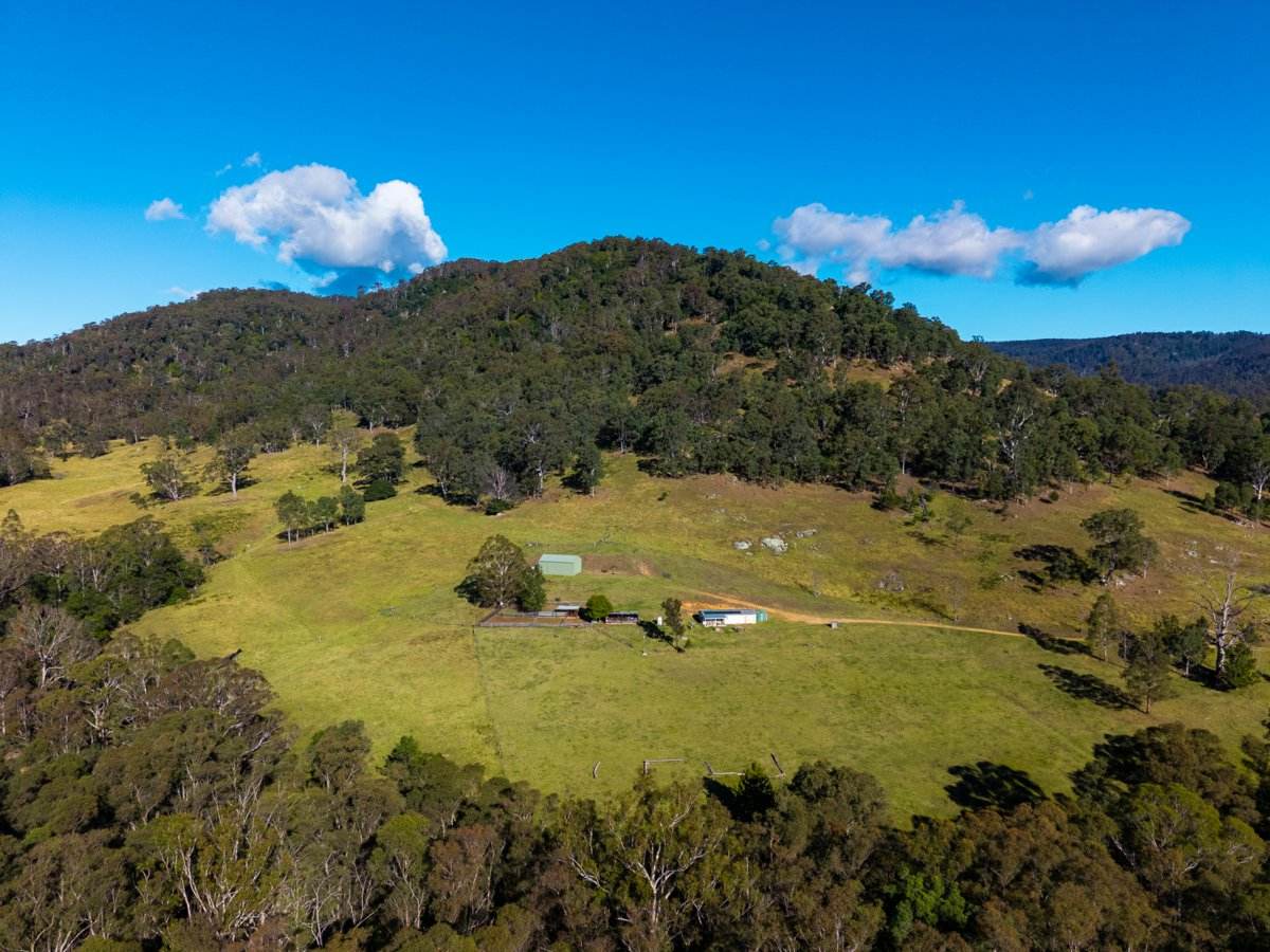177 Little Careys Trail, Candelo For Sale by Farmbuy.com - image 17