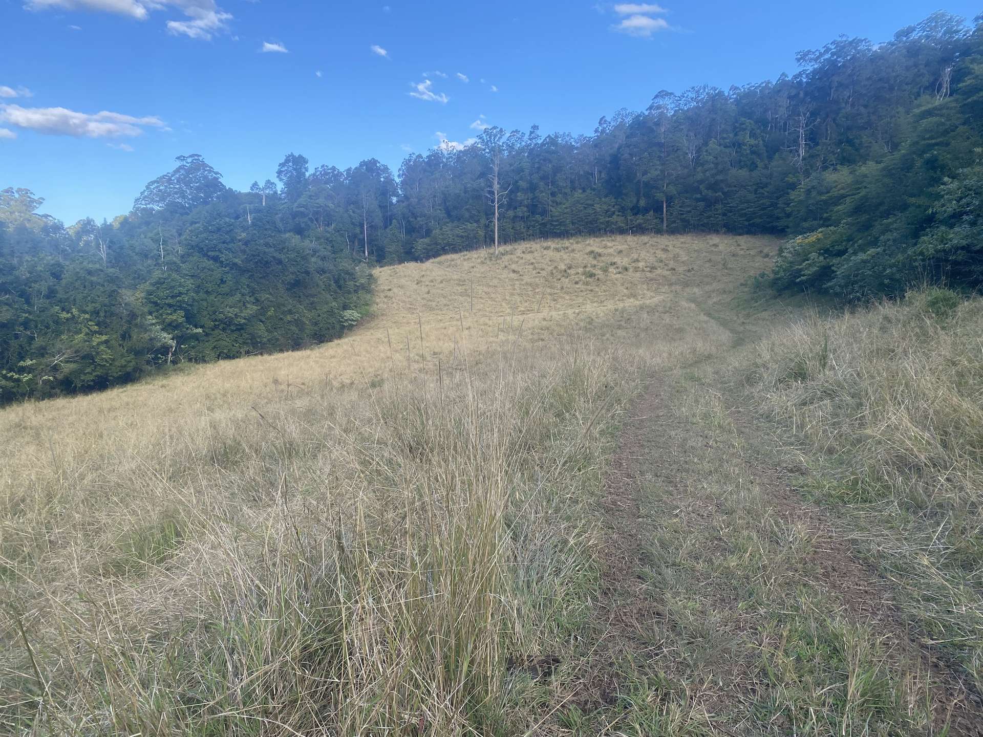 Lot 94, 2667 Pappinbarra Road, Pappinbarra For Sale by Farmbuy.com - image 18