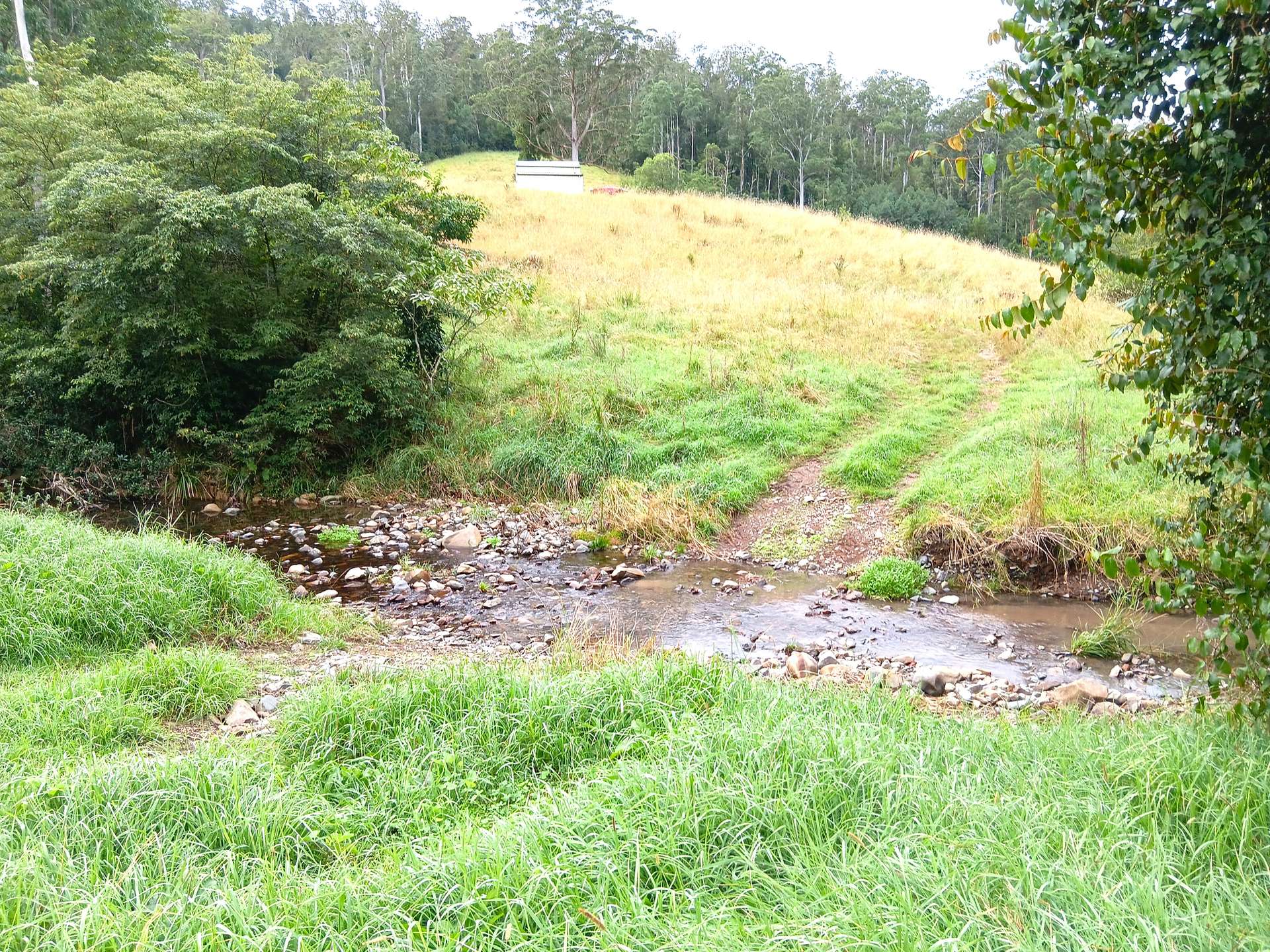 Lot 94, 2667 Pappinbarra Road, Pappinbarra For Sale by Farmbuy.com - image 7