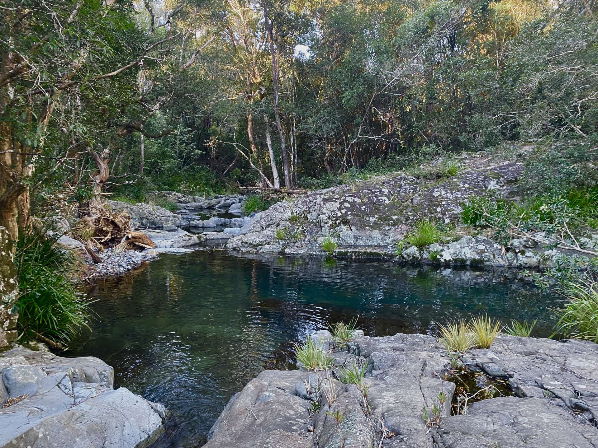 Lot 94, 2667 Pappinbarra Road, Pappinbarra For Sale by Farmbuy.com - image 10