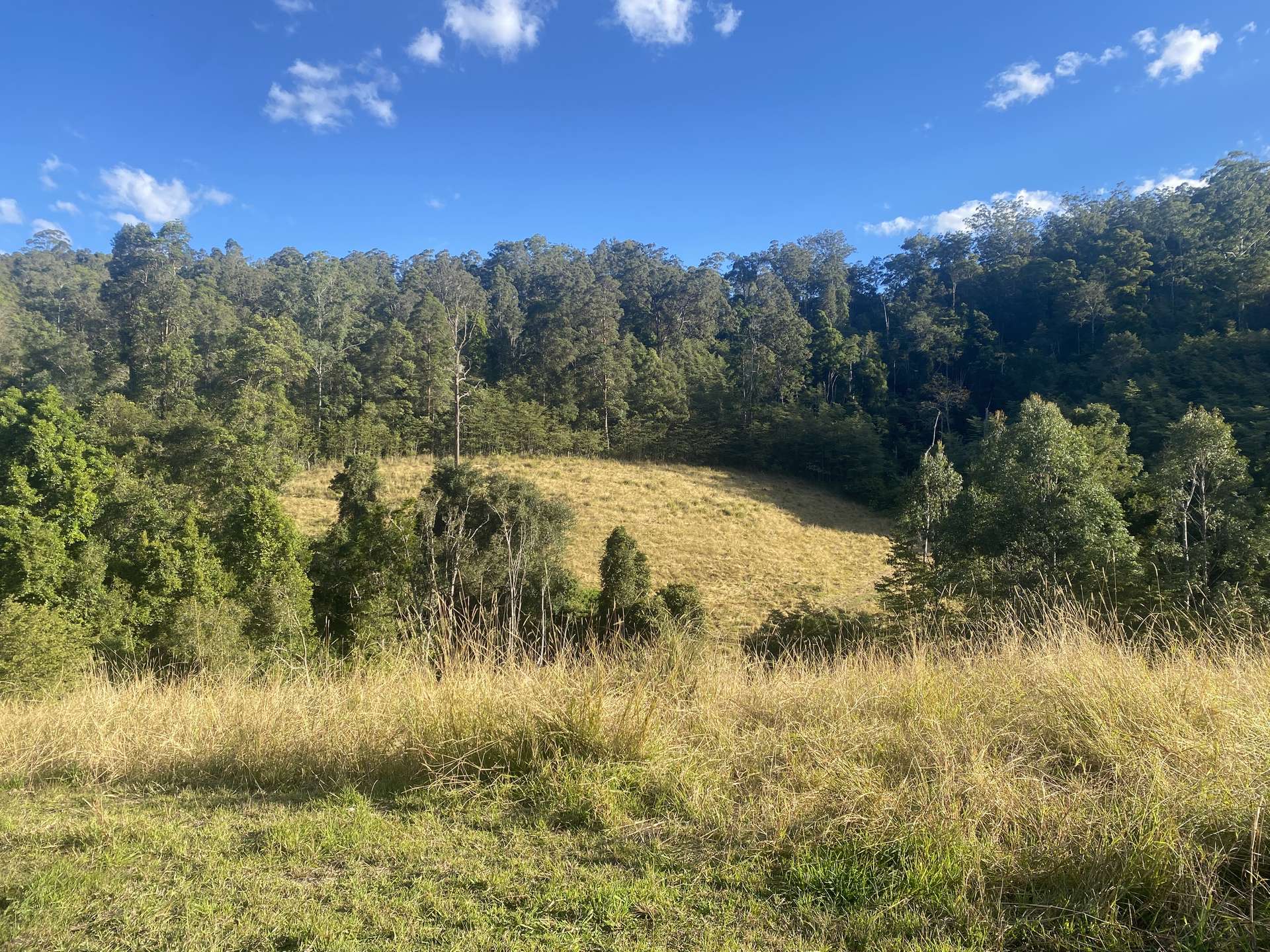Lot 94, 2667 Pappinbarra Road, Pappinbarra For Sale by Farmbuy.com - image 17
