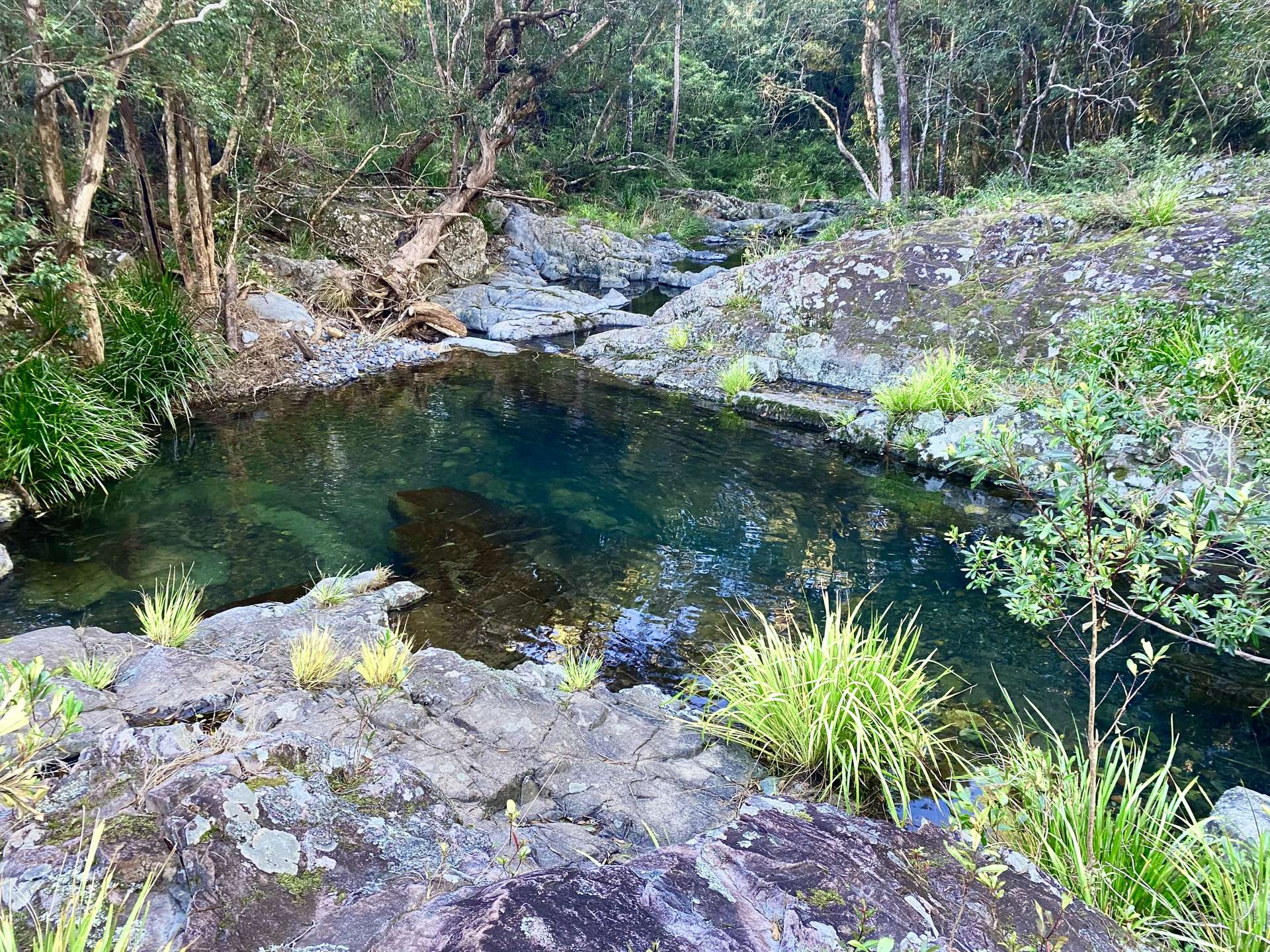 Lot 94, 2667 Pappinbarra Road, Pappinbarra For Sale by Farmbuy.com - image 1