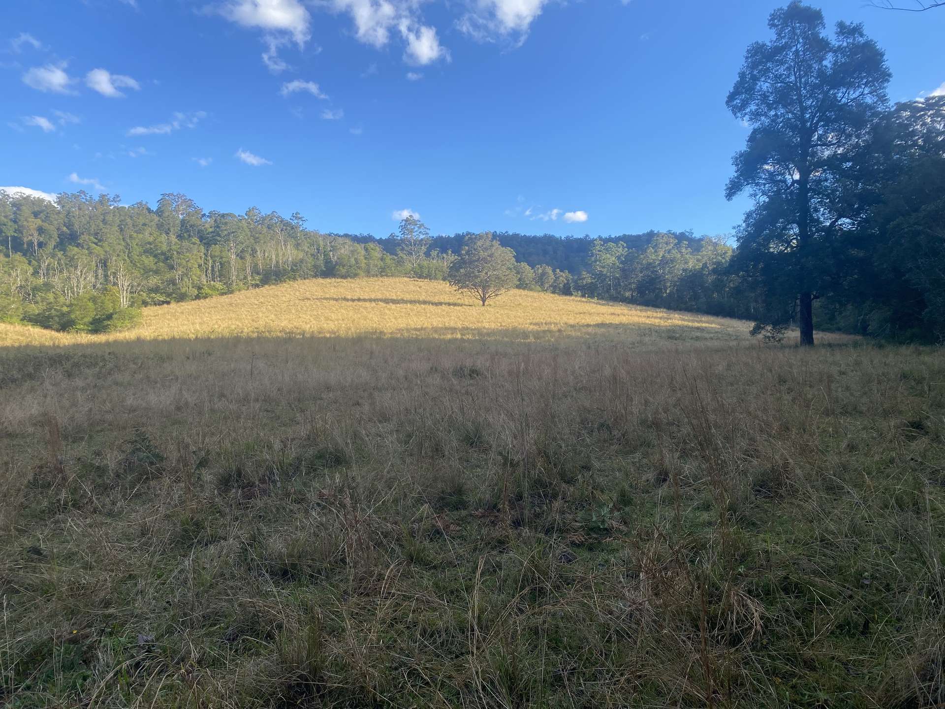 Lot 94, 2667 Pappinbarra Road, Pappinbarra For Sale by Farmbuy.com - image 14