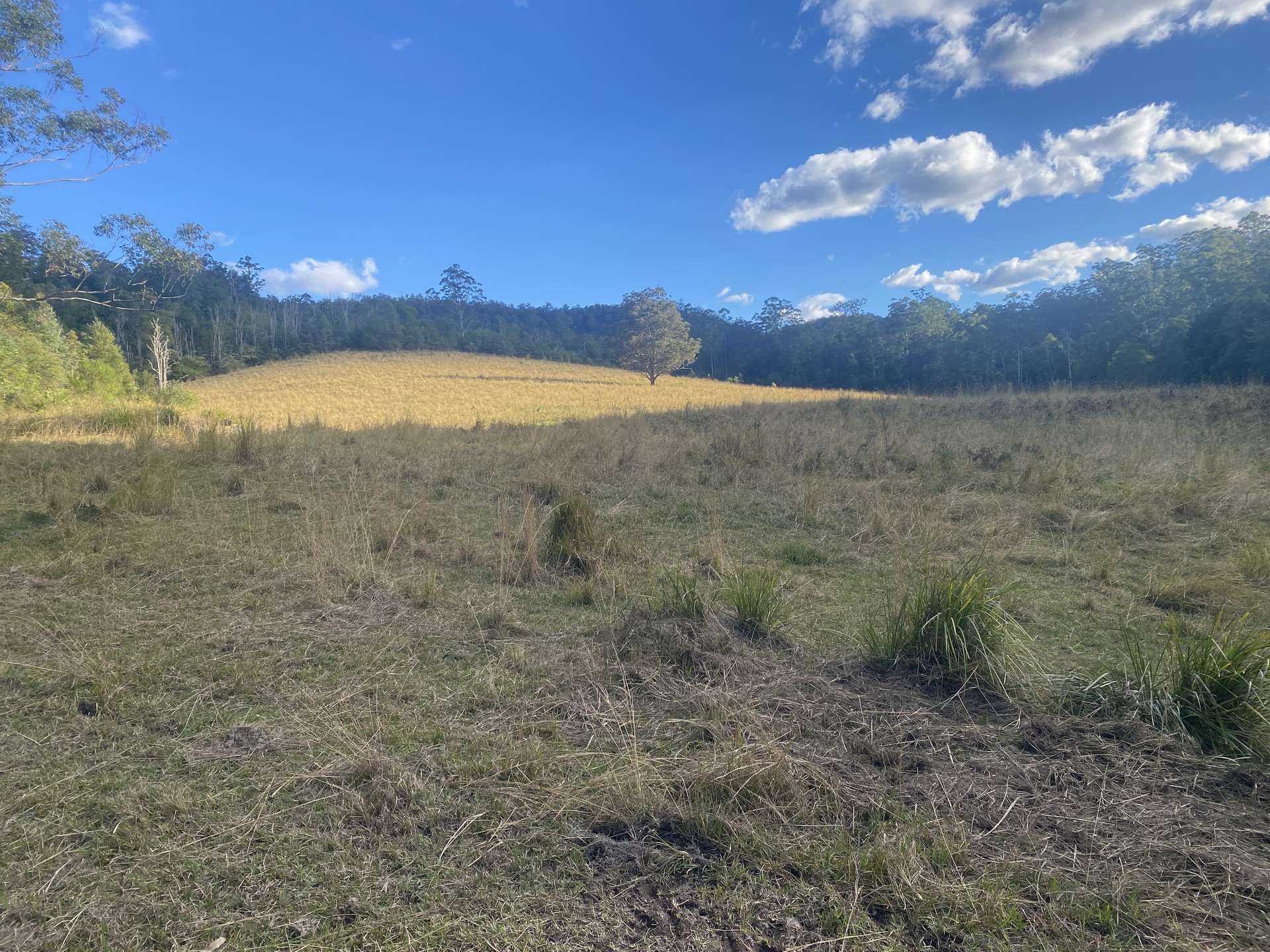Lot 94, 2667 Pappinbarra Road, Pappinbarra For Sale by Farmbuy.com - image 19