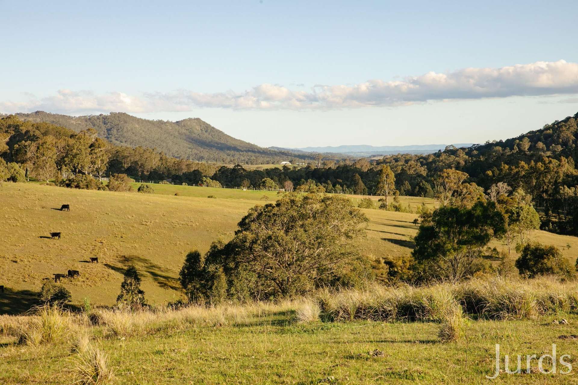 60 Blue Bonnet Road, Lambs Valley For Sale by Farmbuy.com - image 4