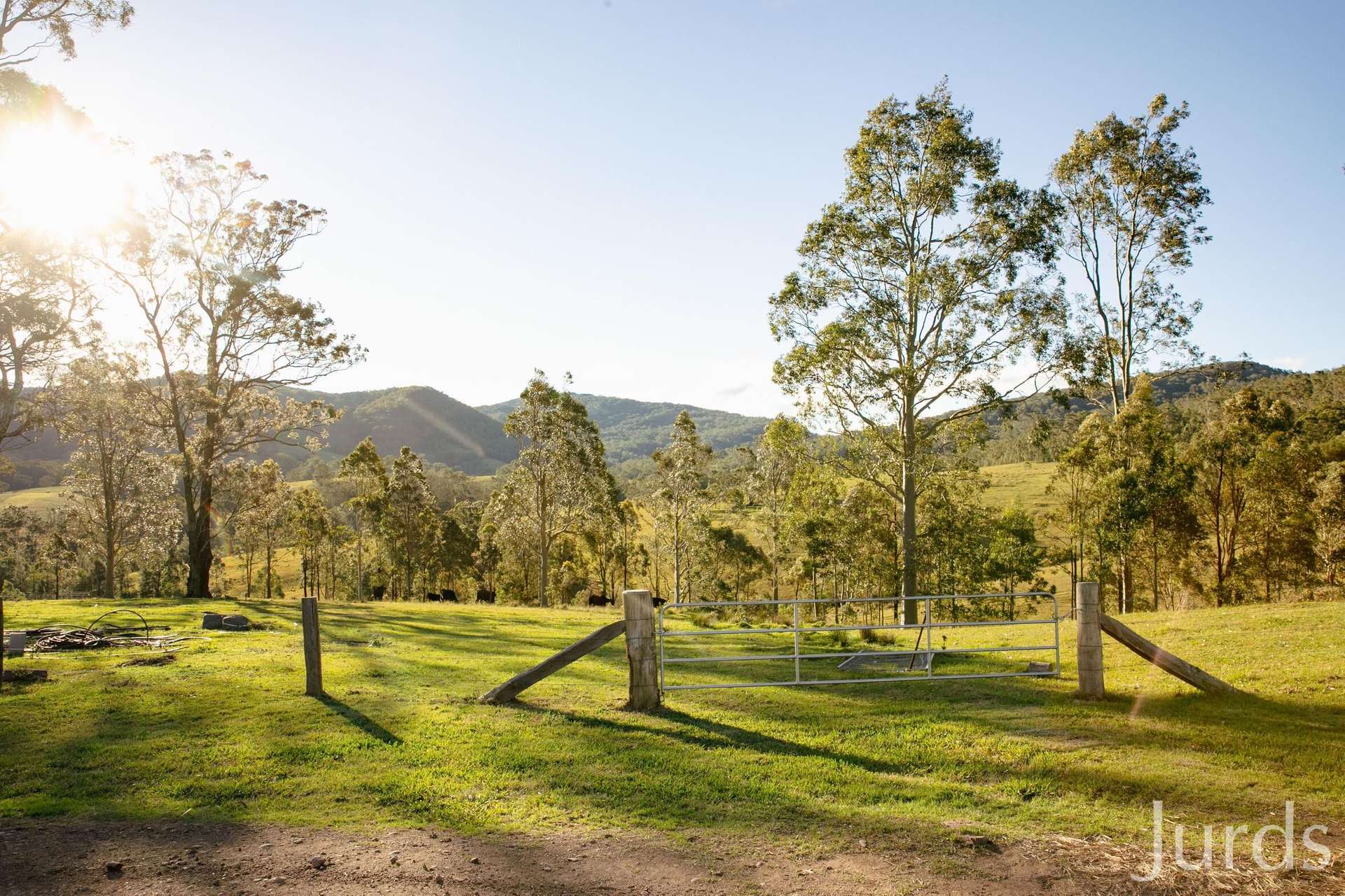 60 Blue Bonnet Road, Lambs Valley For Sale by Farmbuy.com - image 16