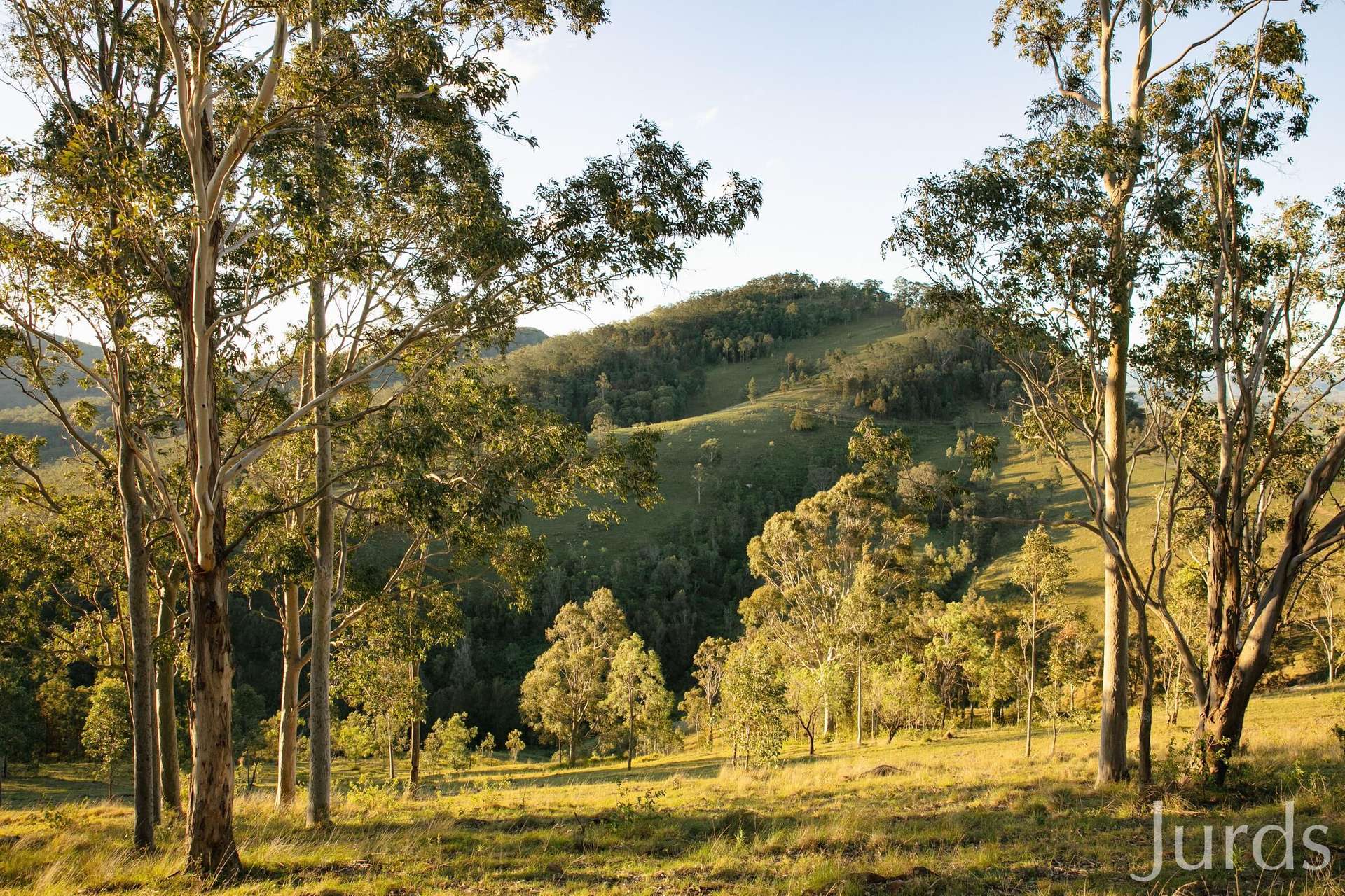 60 Blue Bonnet Road, Lambs Valley For Sale by Farmbuy.com - image 33