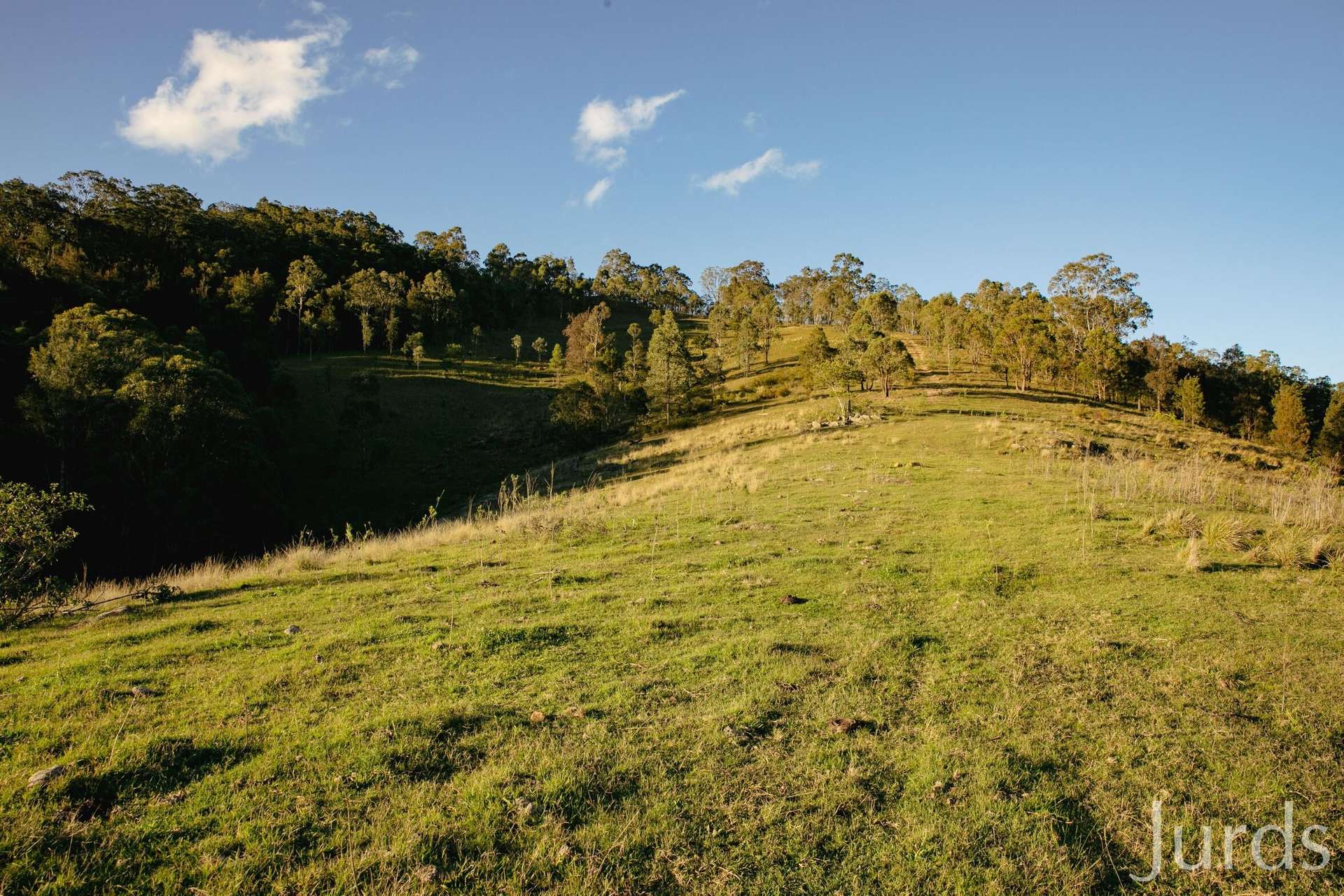 60 Blue Bonnet Road, Lambs Valley For Sale by Farmbuy.com - image 17