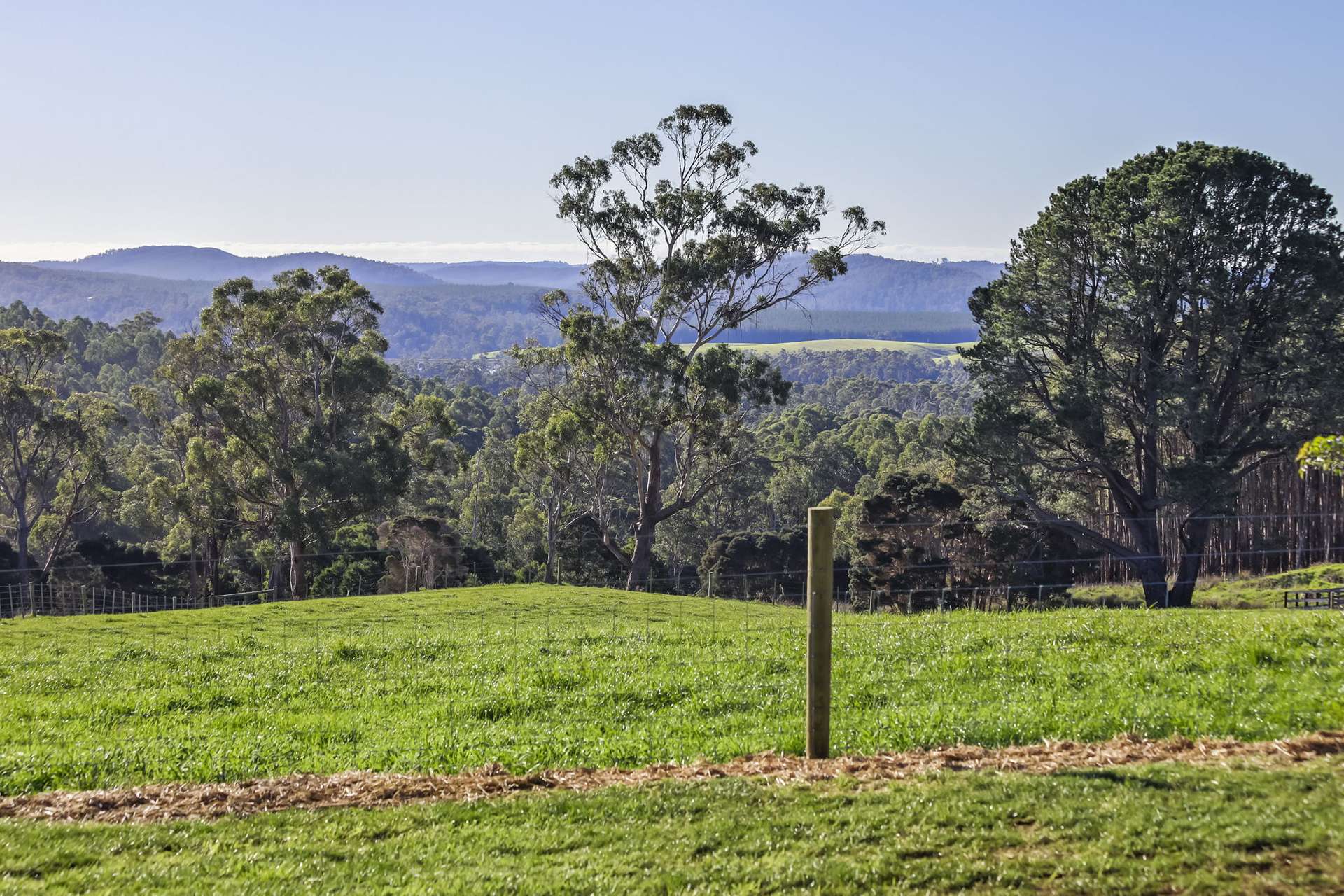 14 Brumbys Road, Sunnyside For Sale by Farmbuy.com - image 34