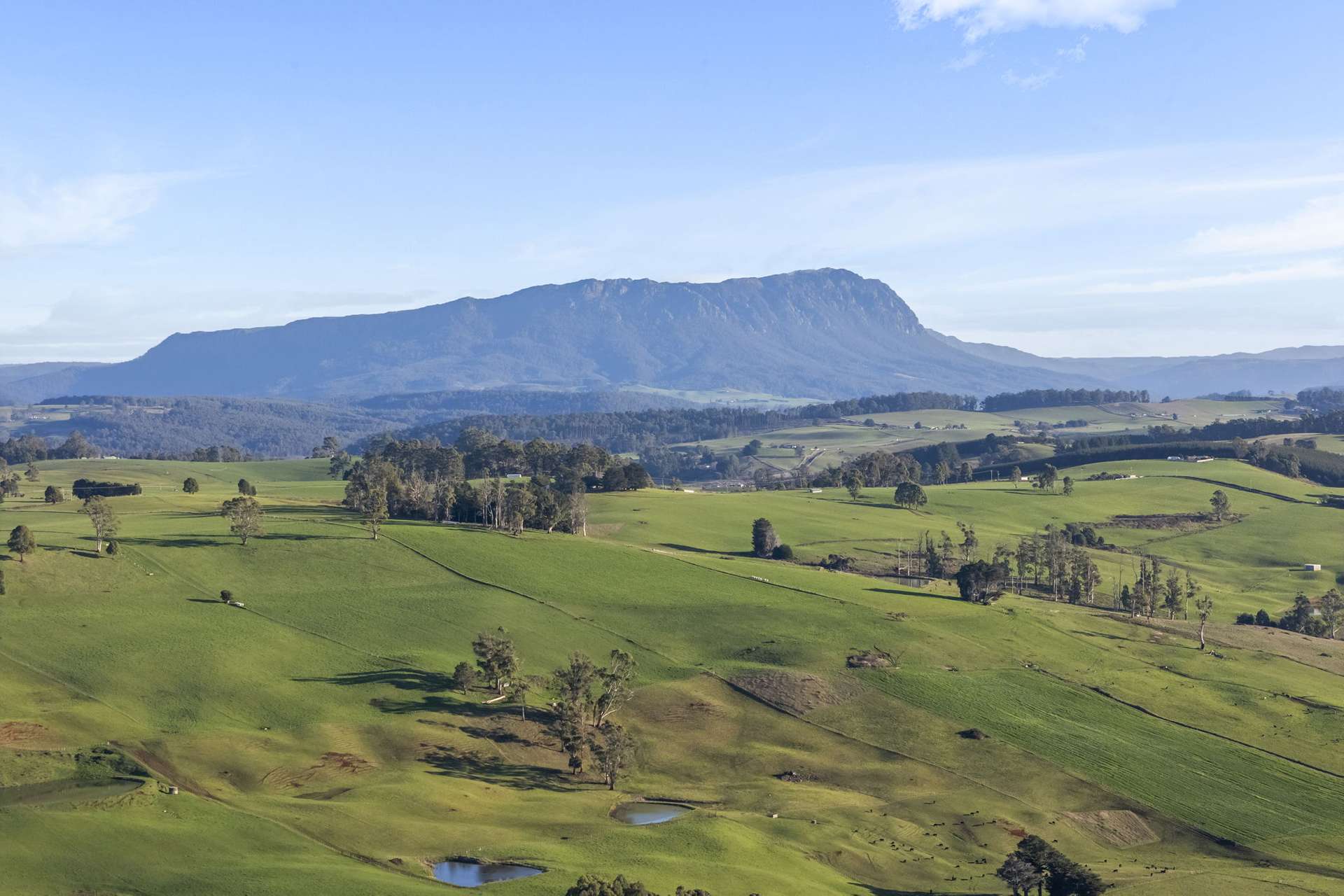14 Brumbys Road, Sunnyside For Sale by Farmbuy.com - image 28