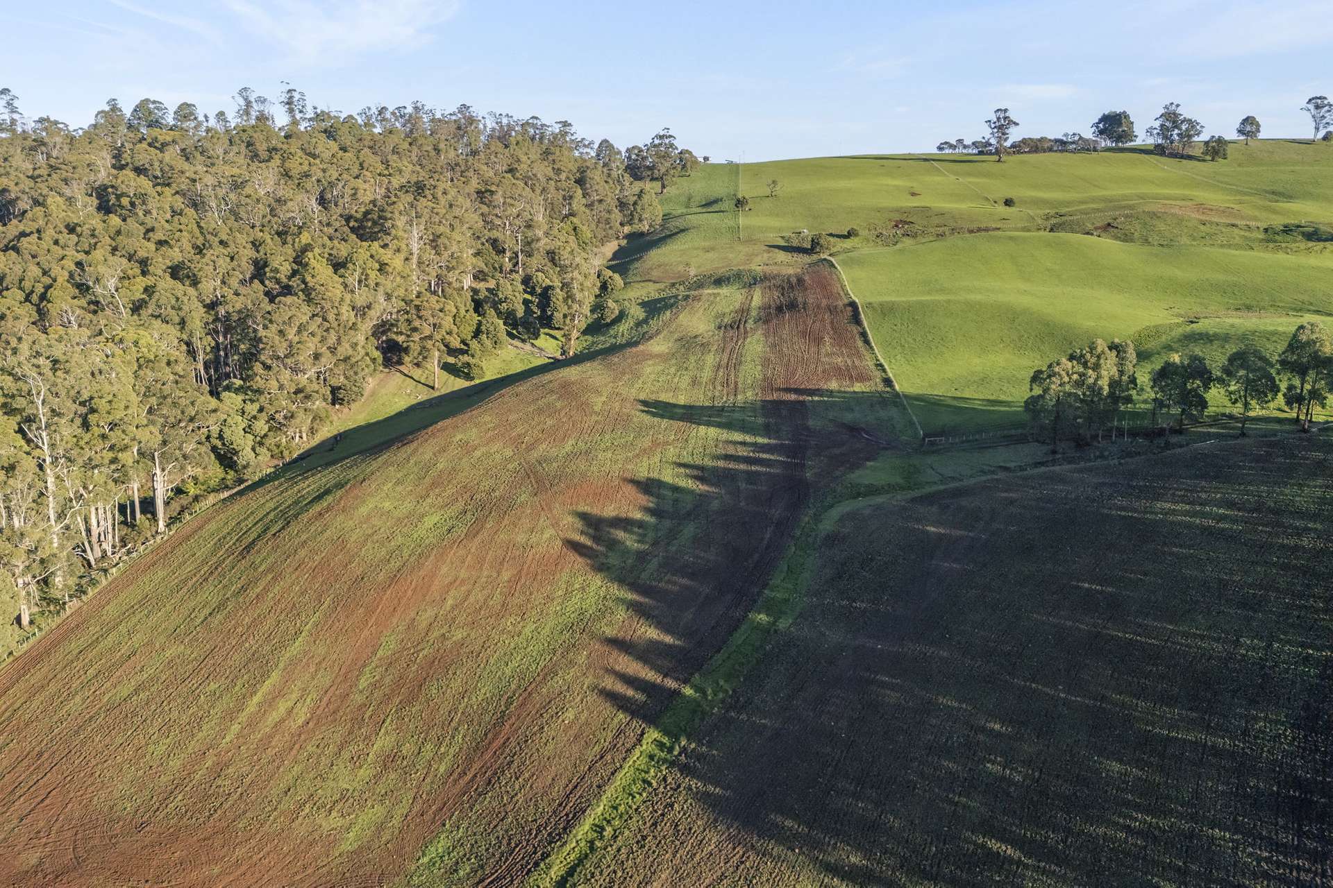 14 Brumbys Road, Sunnyside For Sale by Farmbuy.com - image 30