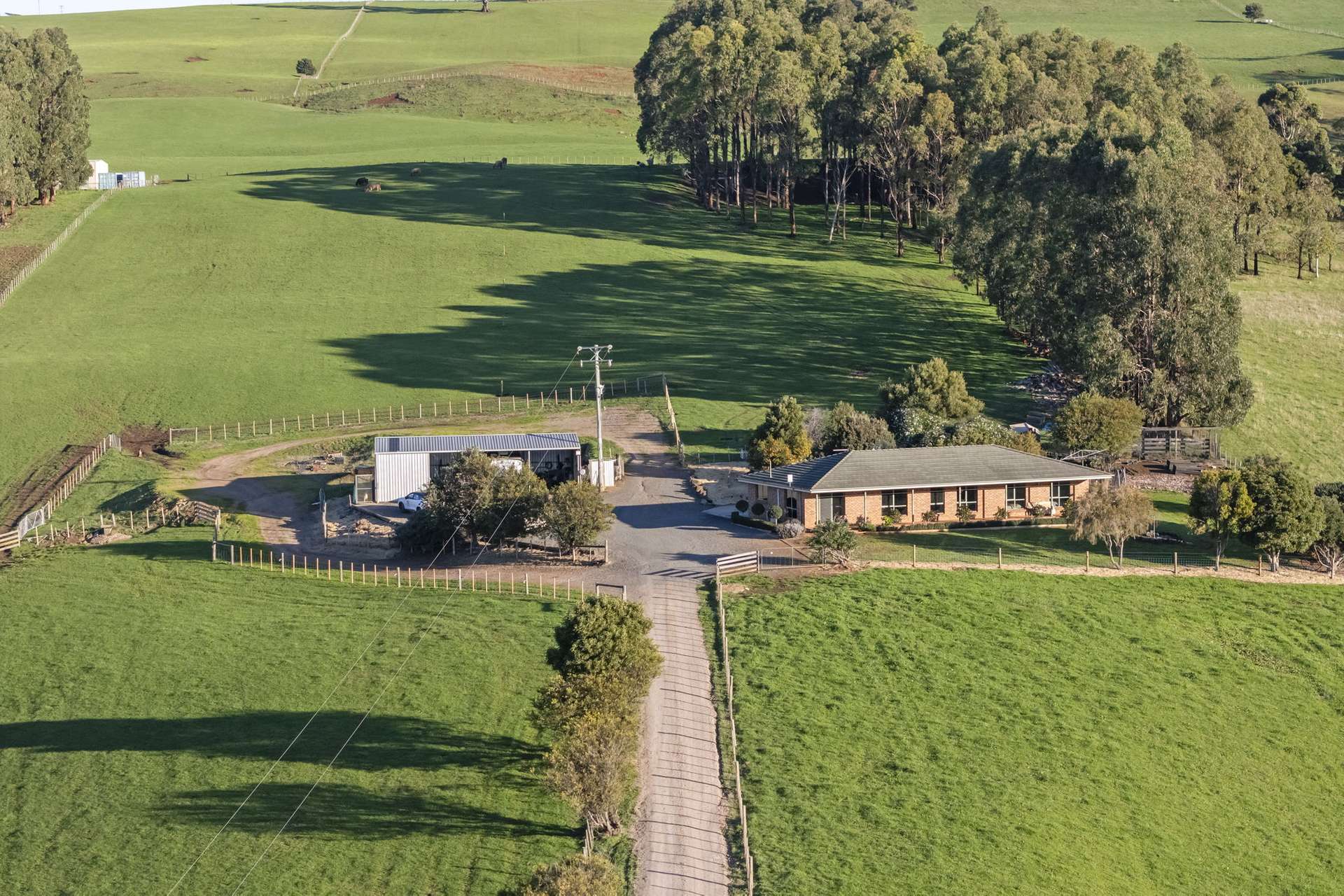 14 Brumbys Road, Sunnyside For Sale by Farmbuy.com - image 12