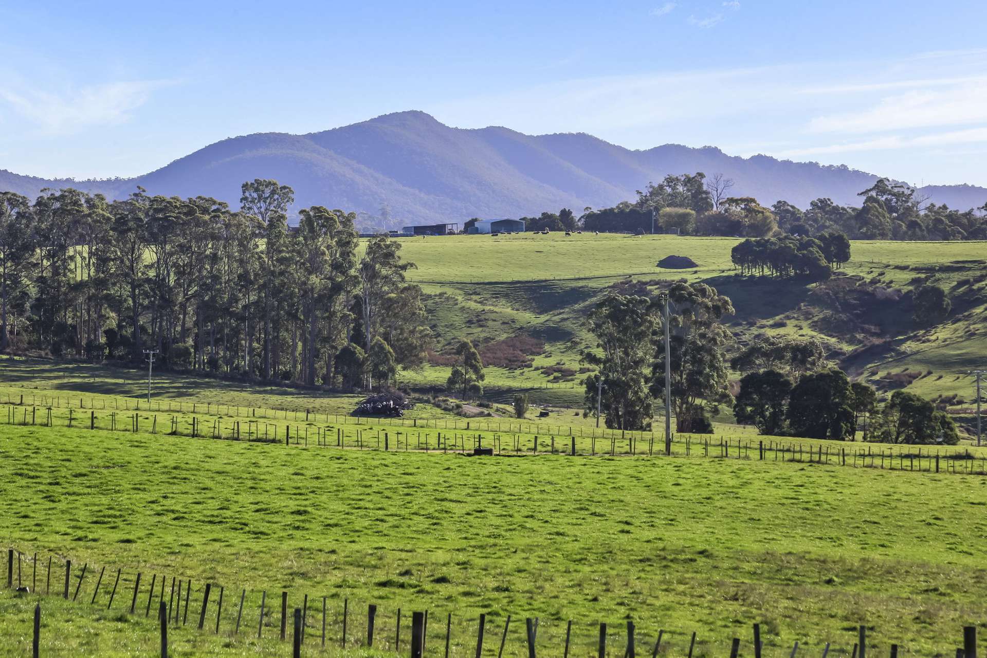 14 Brumbys Road, Sunnyside For Sale by Farmbuy.com - image 35