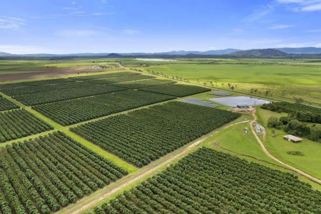 20ML Water Allocation, Mareeba For Sale by Farmbuy.com - image 5