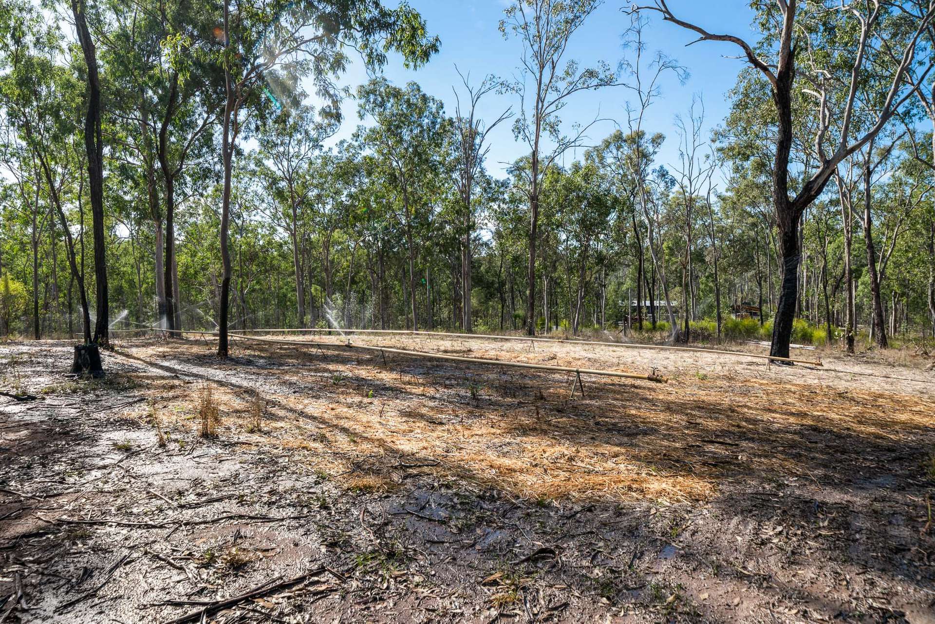 896 Murphys Creek Road, Murphys Creek For Sale by Farmbuy.com - image 31