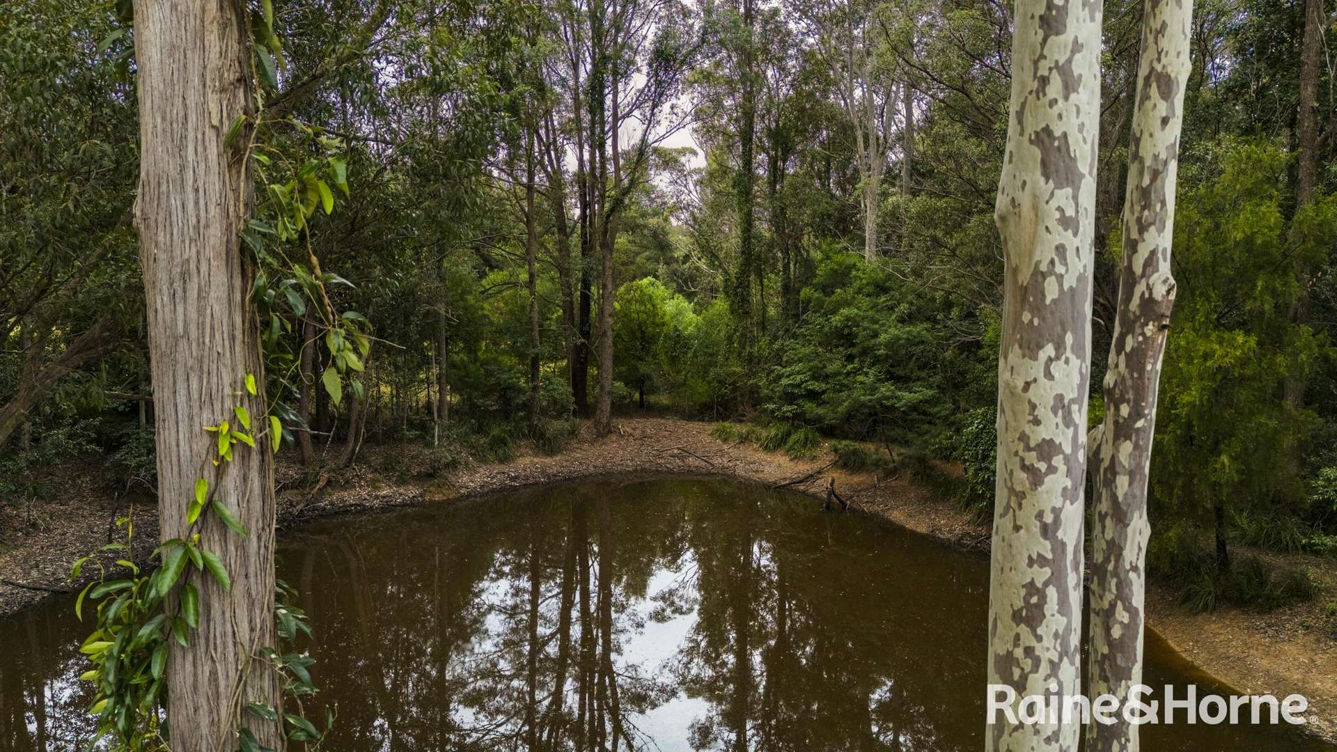 1275 Illaroo Road, Tapitallee For Sale by Farmbuy.com - image 26