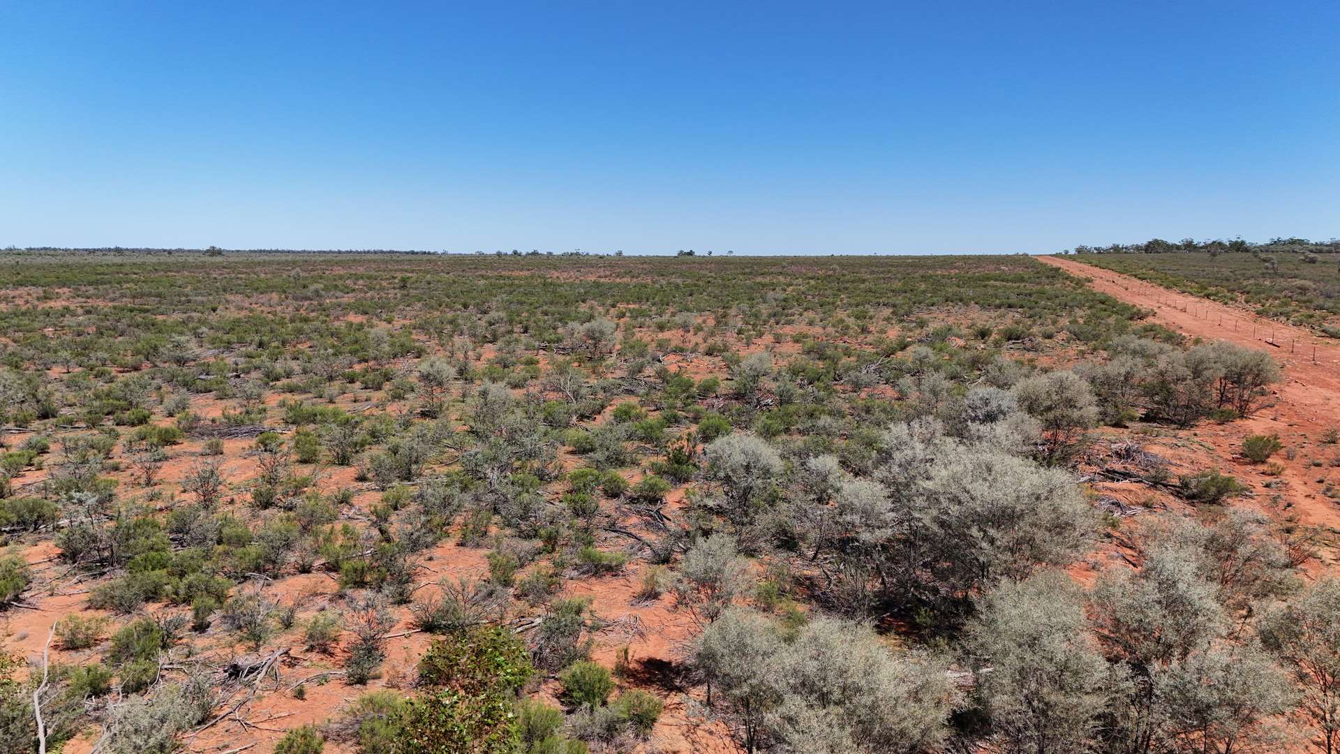 "Belvedere" 2264 Dowling Track, North Bourke For Sale by Farmbuy.com - image 25